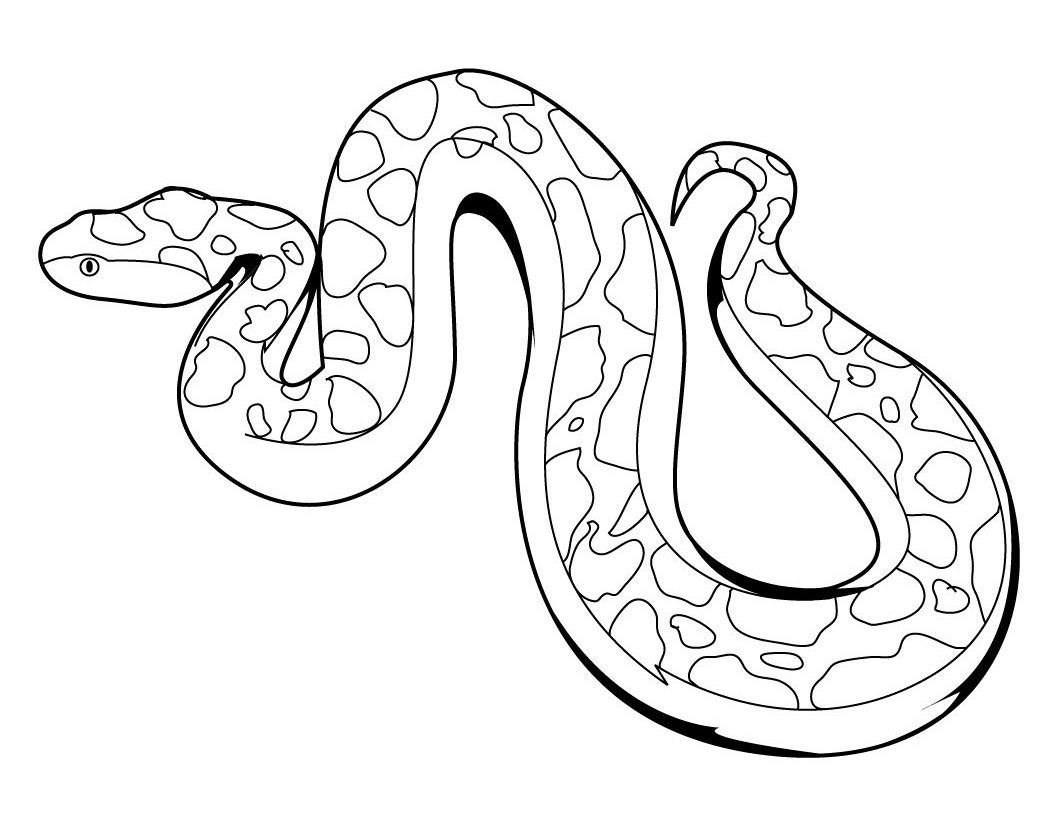 Corn Snake Coloring Sheets Coloring Pages