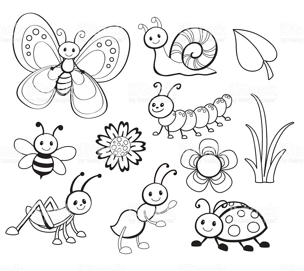 Cute Bug Drawing At GetDrawings Free Download