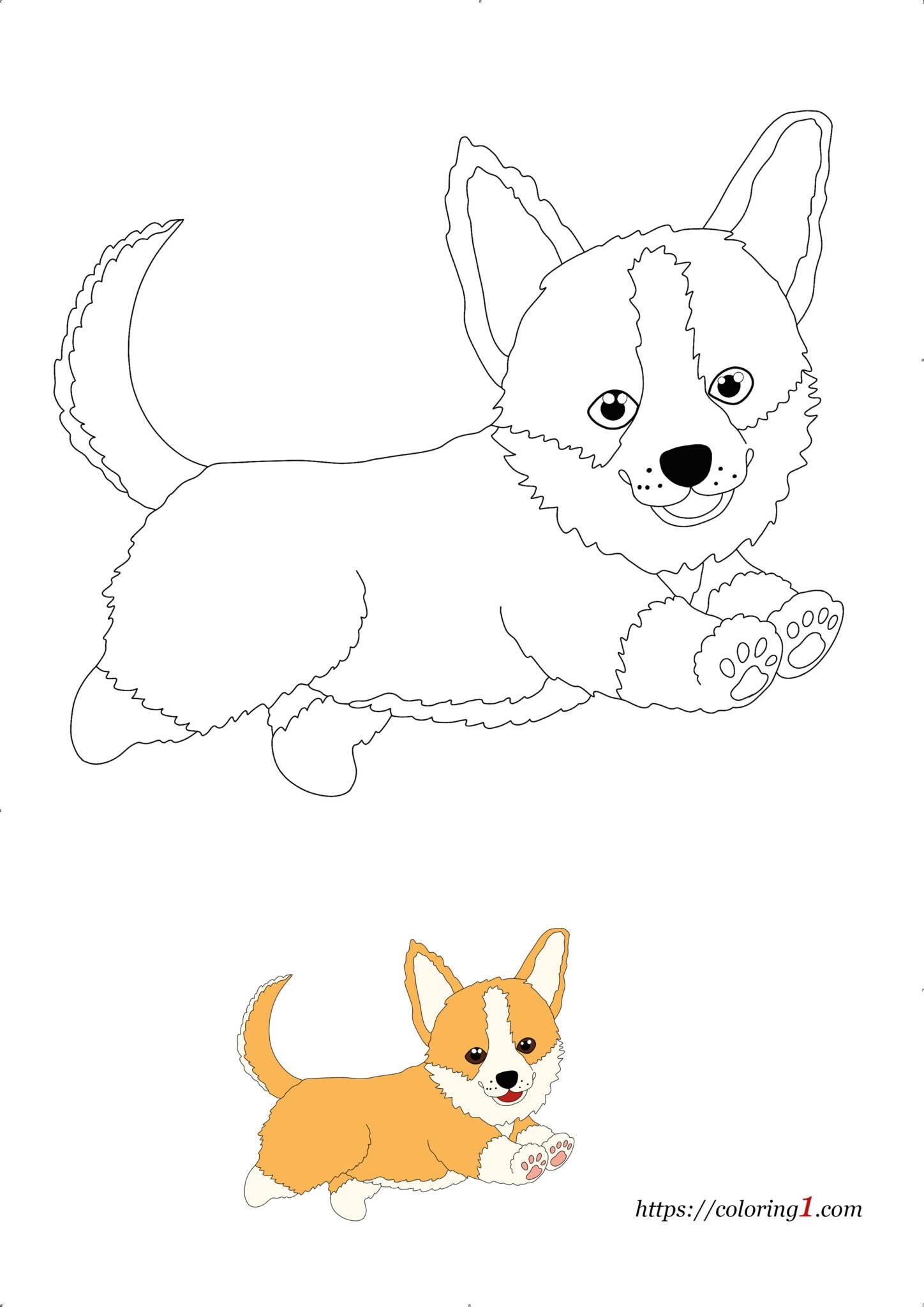 Corgi Coloring Page