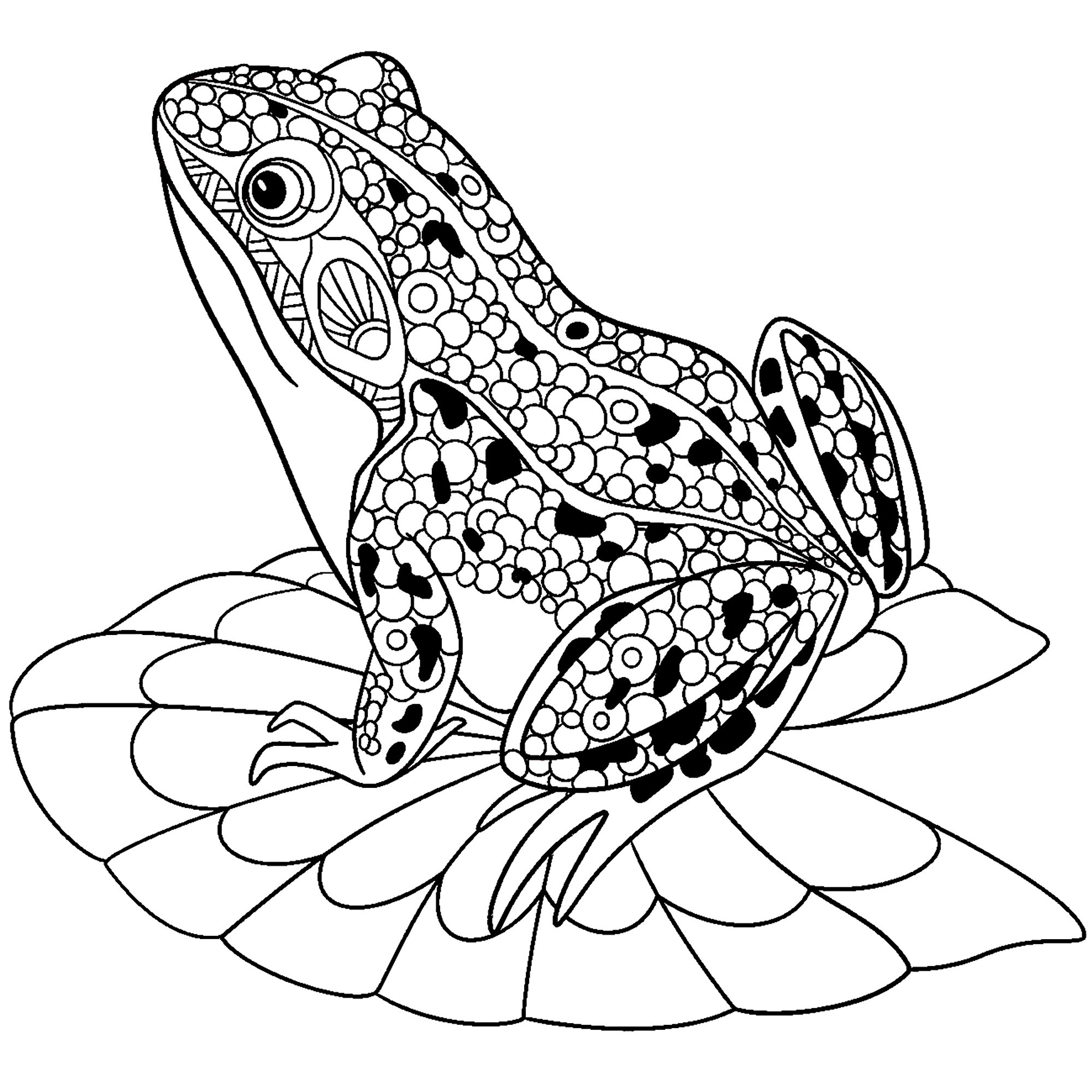 Frogs Coloring Pages