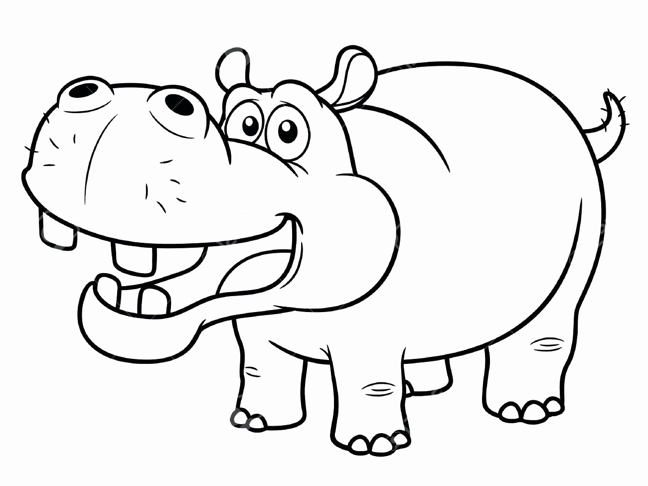 Cute Hippo Coloring Pages At GetDrawings Free Download