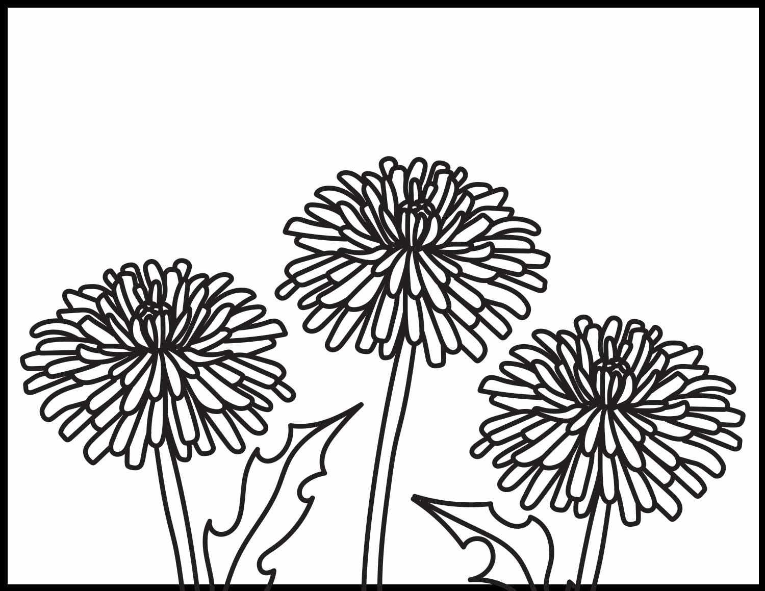 Dandelion Coloring Pages Roaring Spork