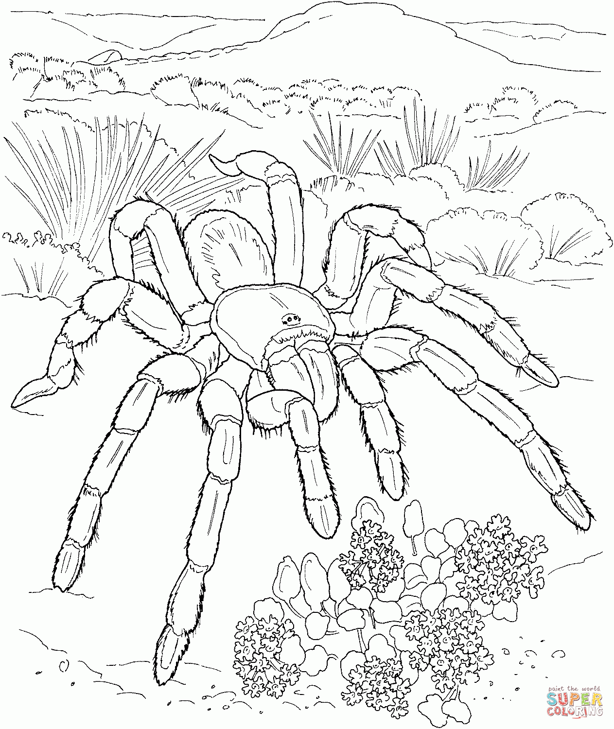 Free Desert Coloring Pages