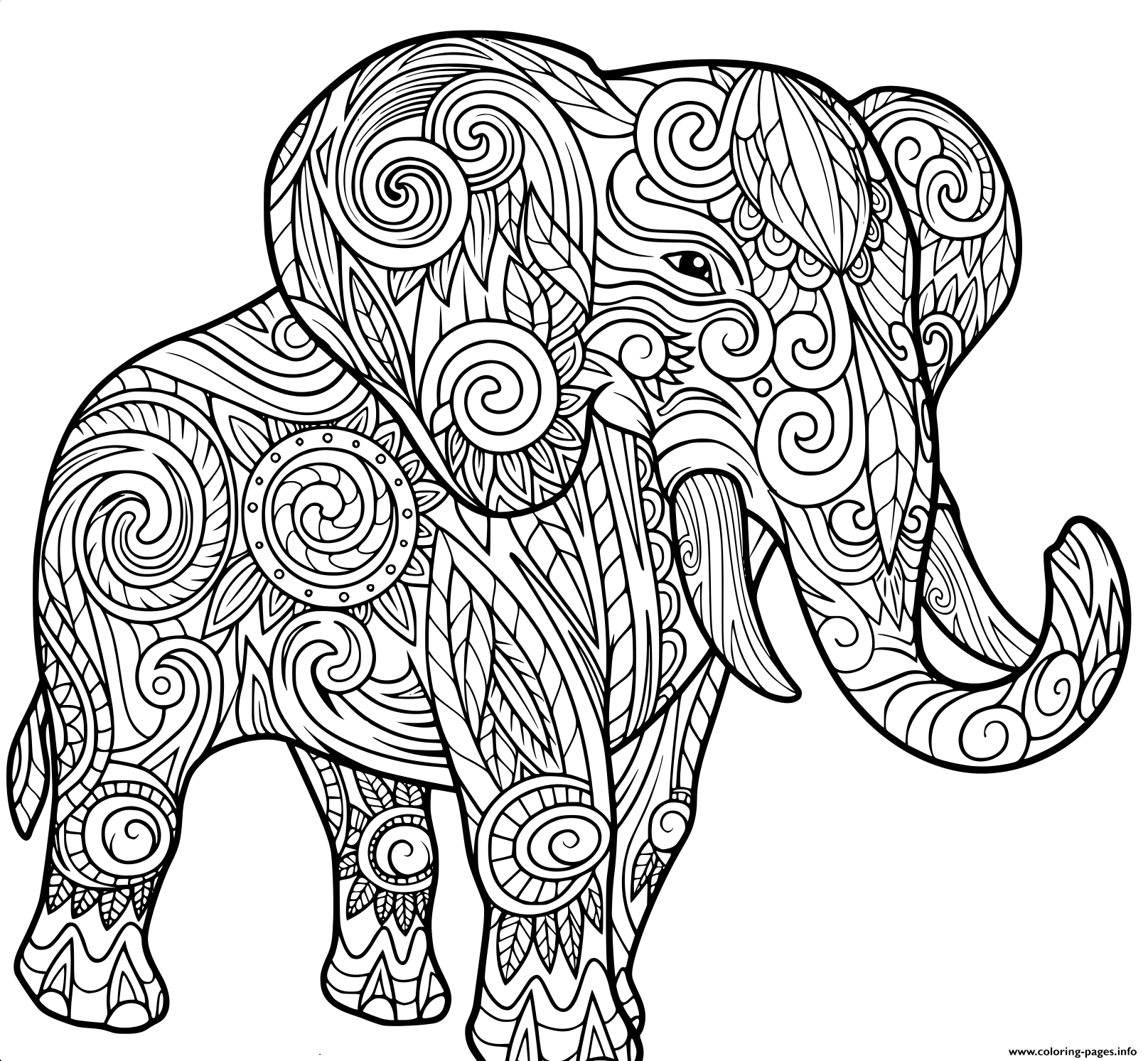 Coloring Pages Animal
