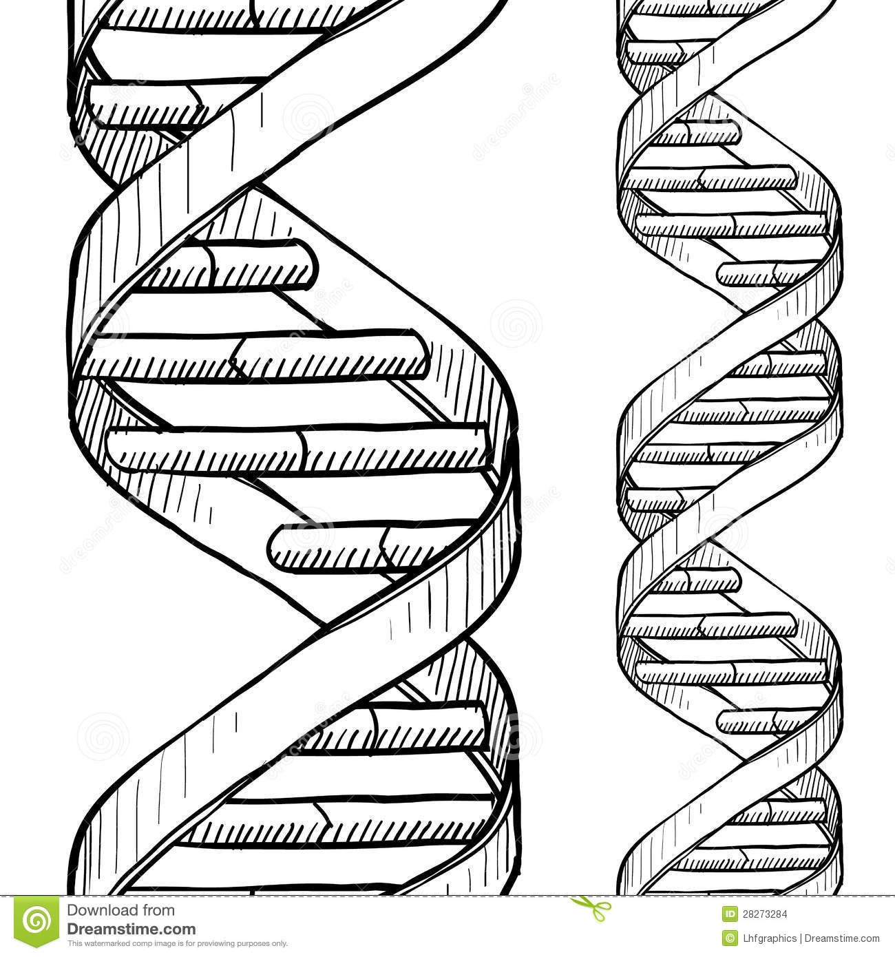 Dna Coloring Page