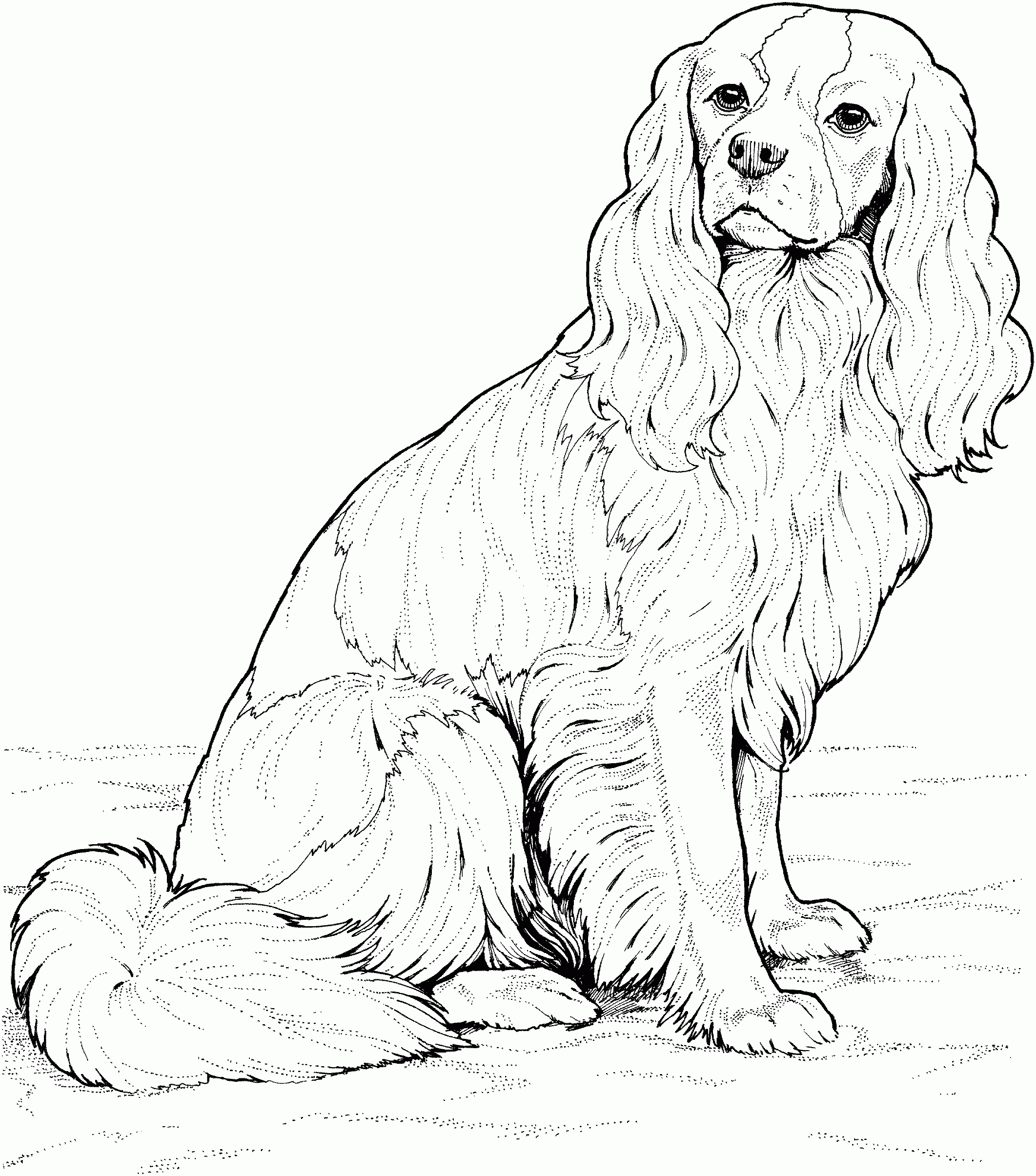 Dog Coloring Pages Free