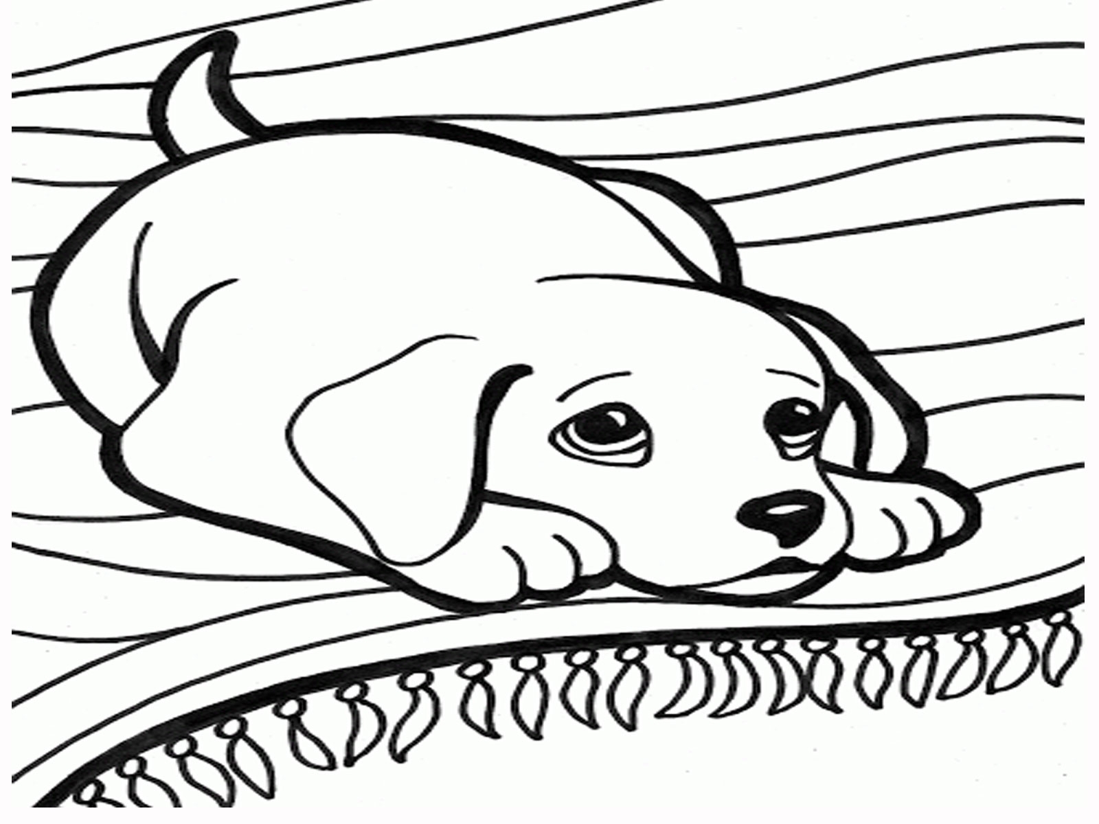 Free Dog Coloring Pages