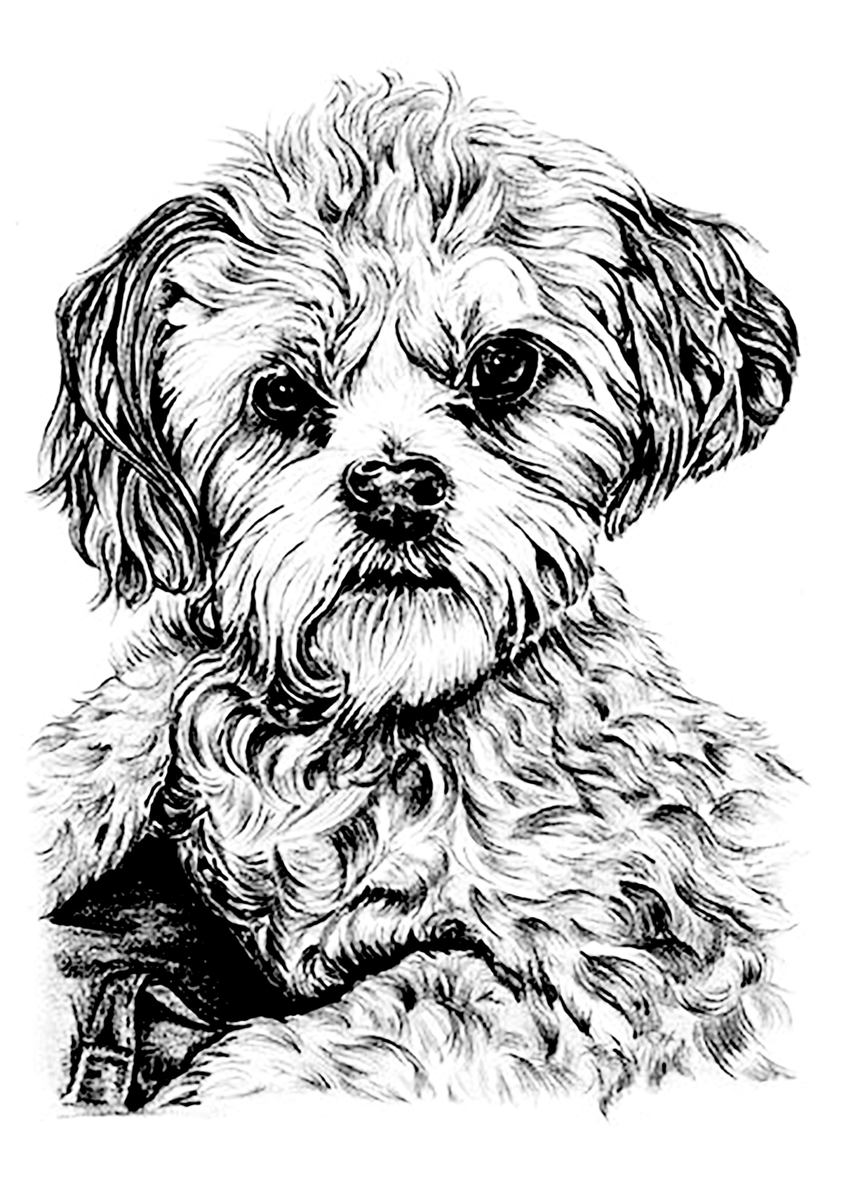 Hard Coloring Pages Of Dogs
