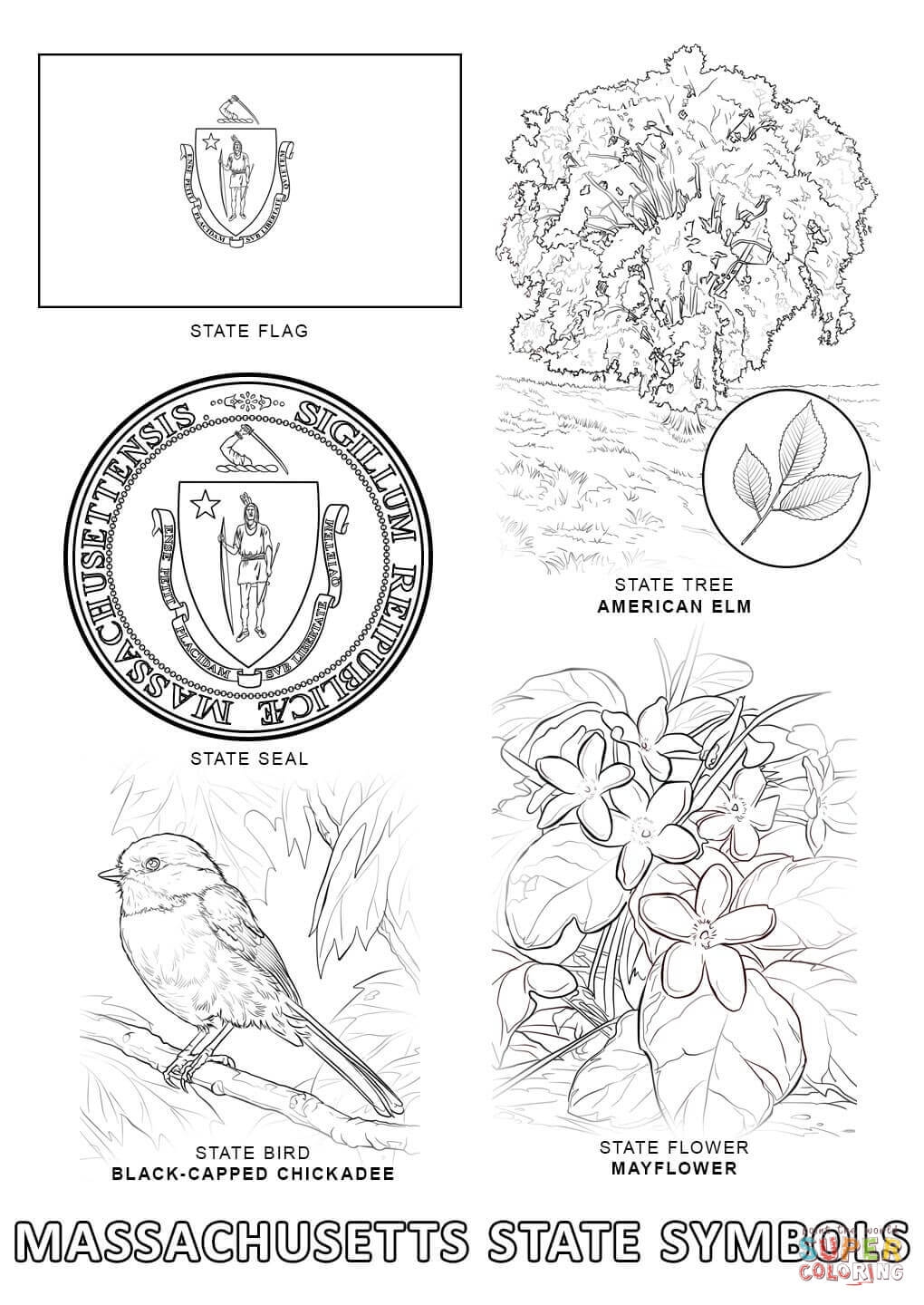 Dominican Republic Map Coloring Page Team Coloring