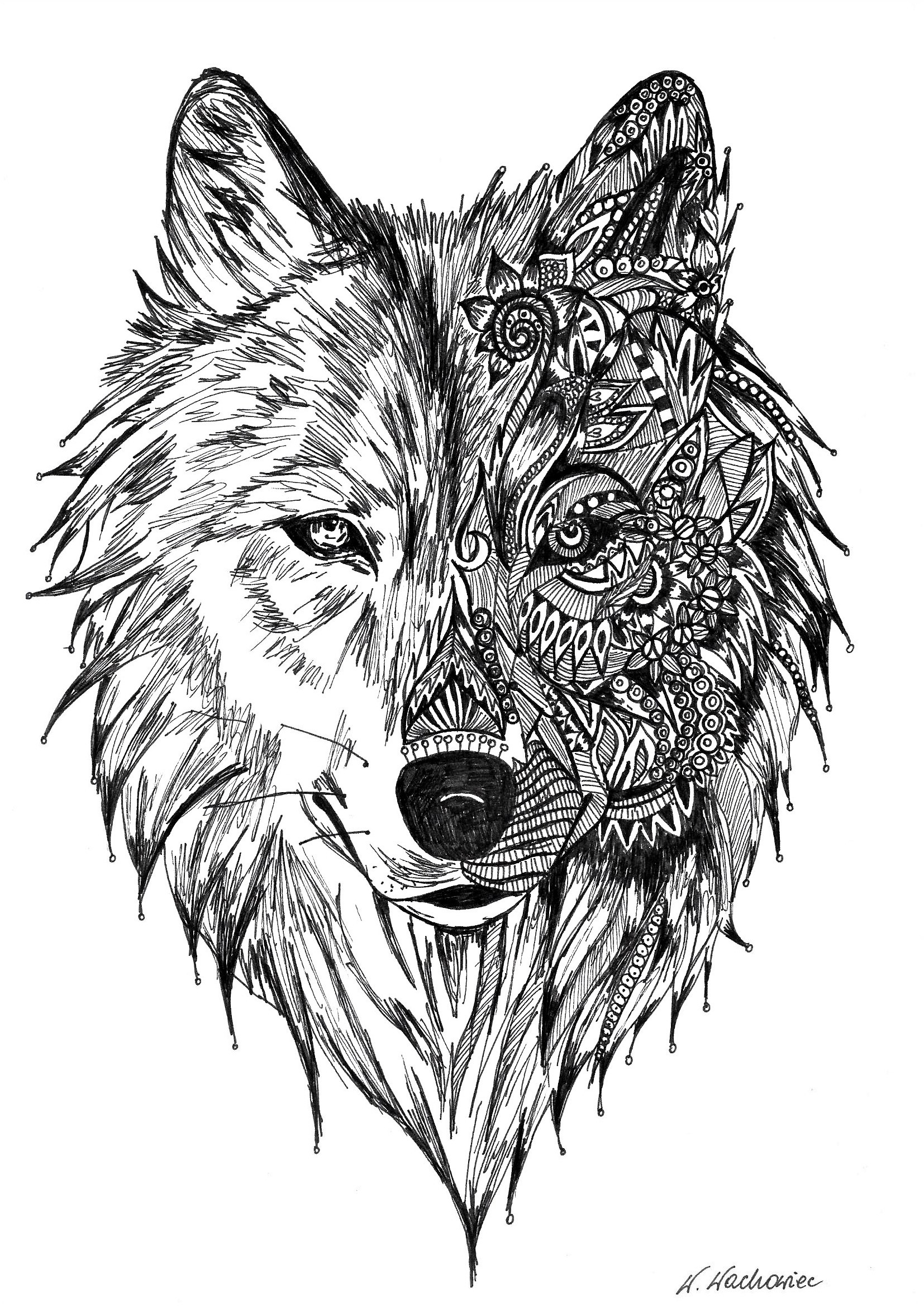 Download 252 Wolf Mandala Coloring Pages To Print PNG PDF File The Article Was Updated In