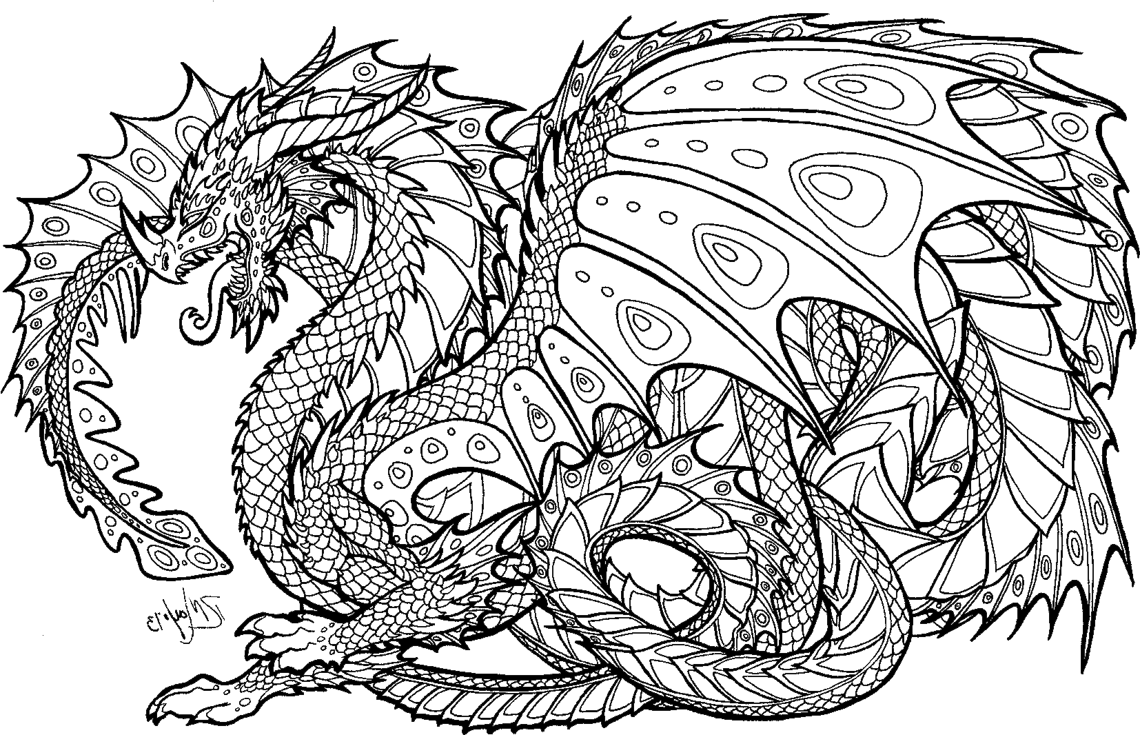 Download Realistic Dragon Coloring Pages For Adults Adult Colouring Pages Dragon PNG Image