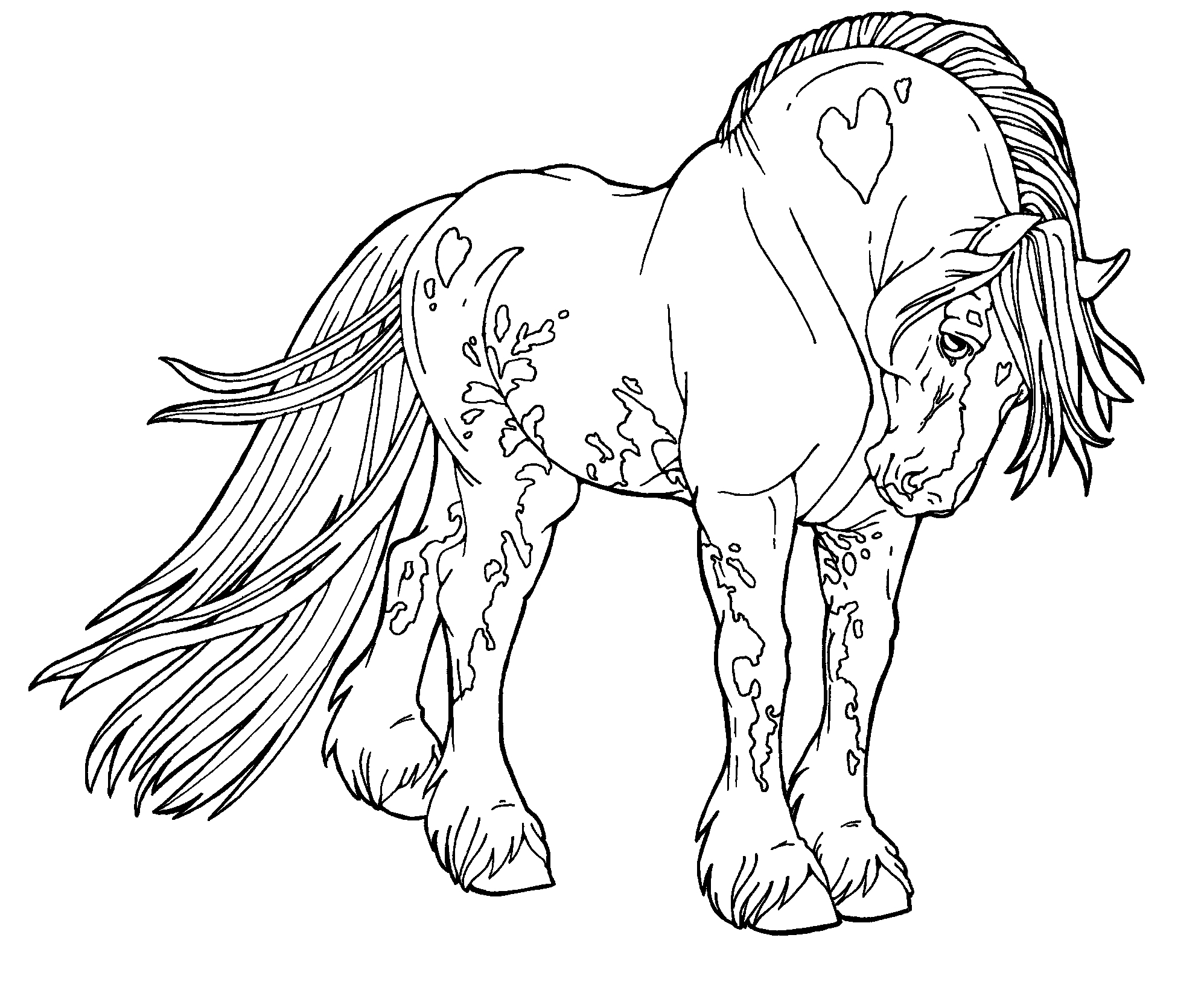 Draft Horse Coloring Pages Coloring Pages