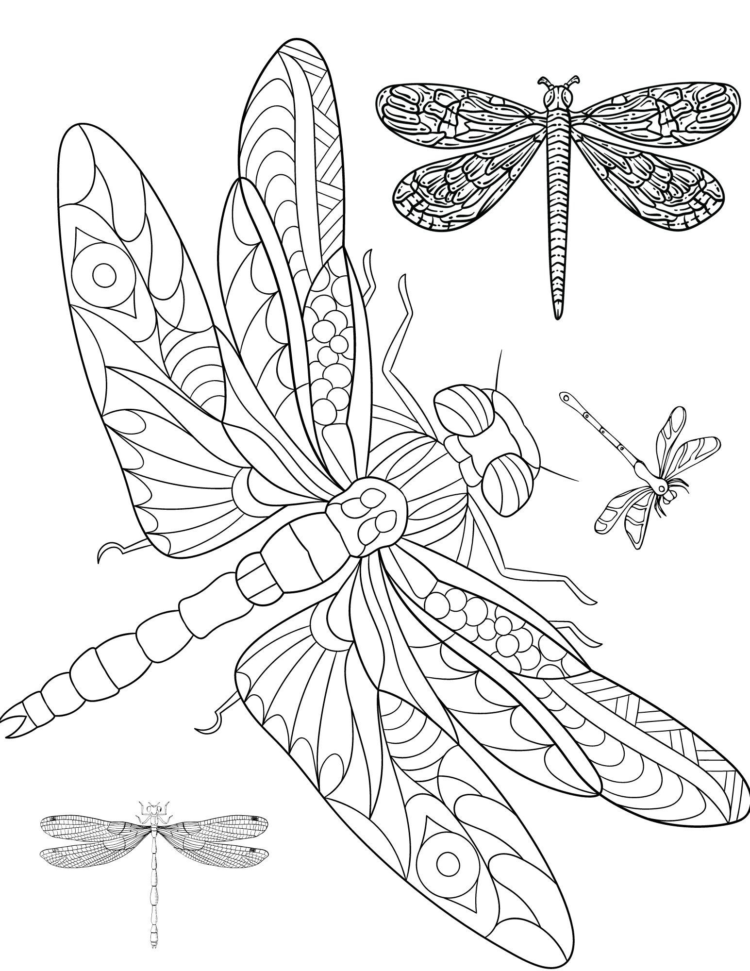 Dragonfly Coloring Pages For Adults