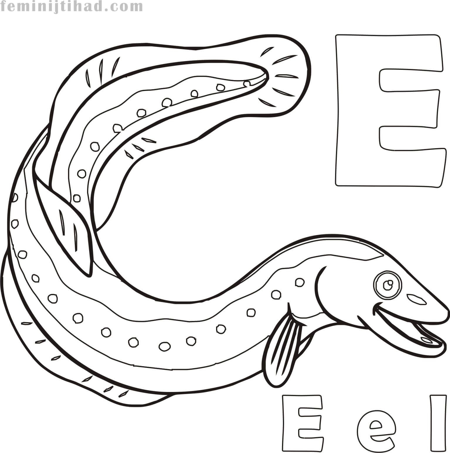 Eel Coloring Page