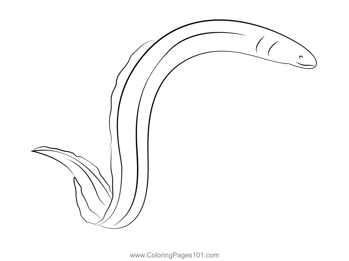 European Eel Coloring Page For Kids Free Eels Printable Coloring Pages Online For Kids