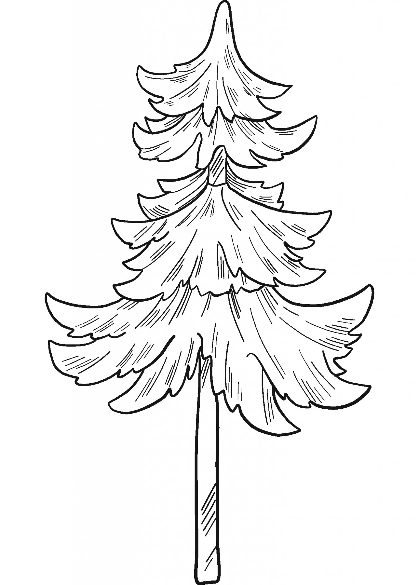 Evergreen Tree Coloring Page ColouringPages