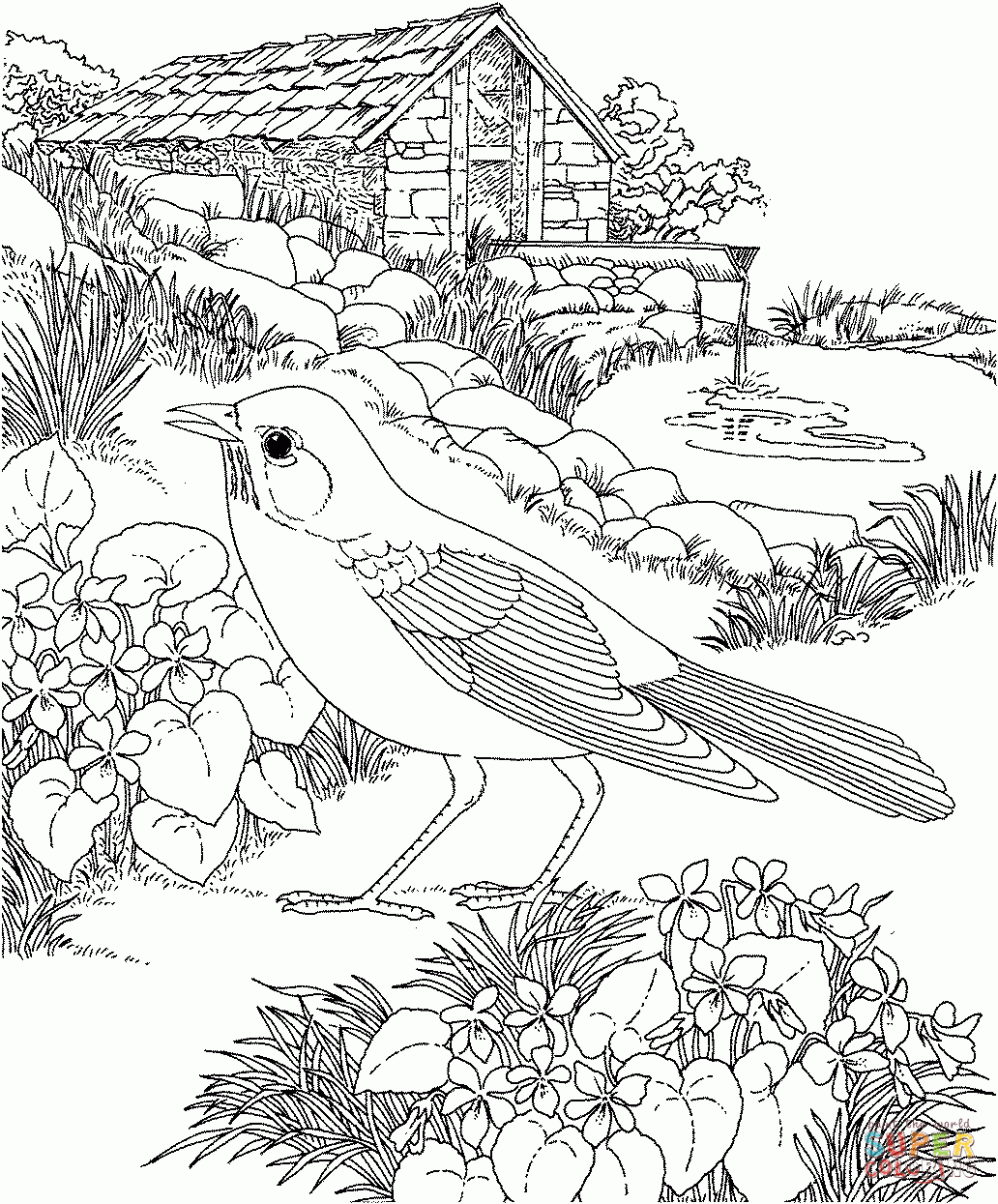 Flower Garden Coloring Pages To Download And Print For Free
