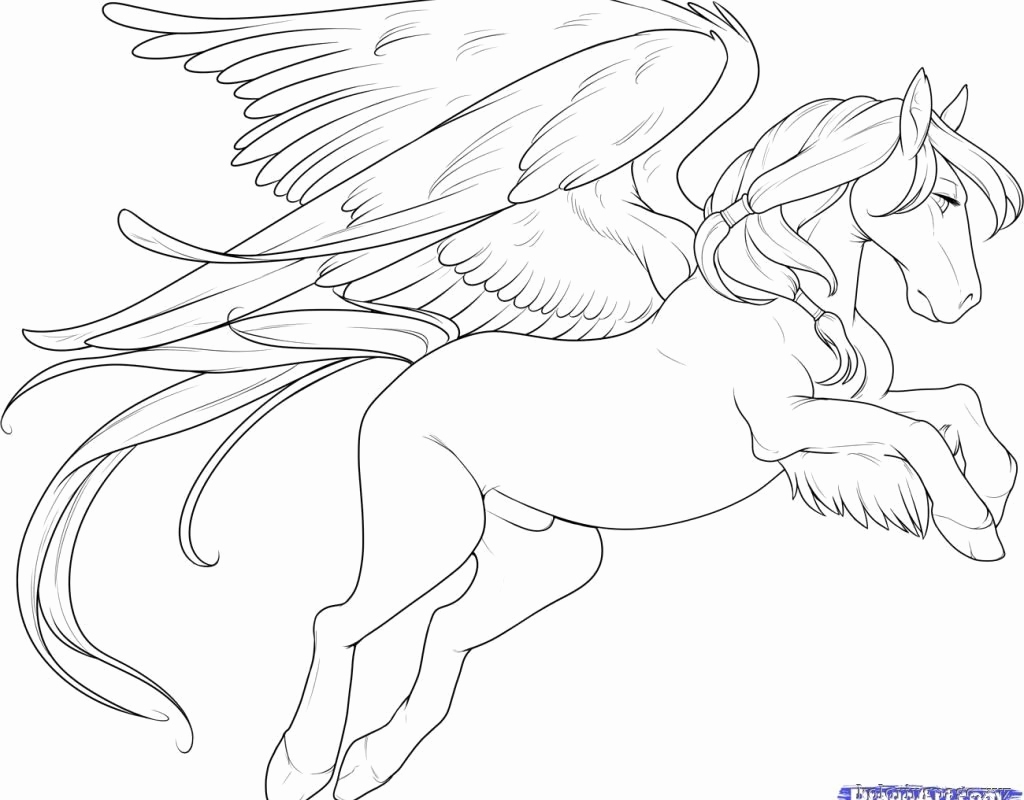 Flying Horse Coloring Pages At GetColorings Free Printable Colorings Pages To Print And Color