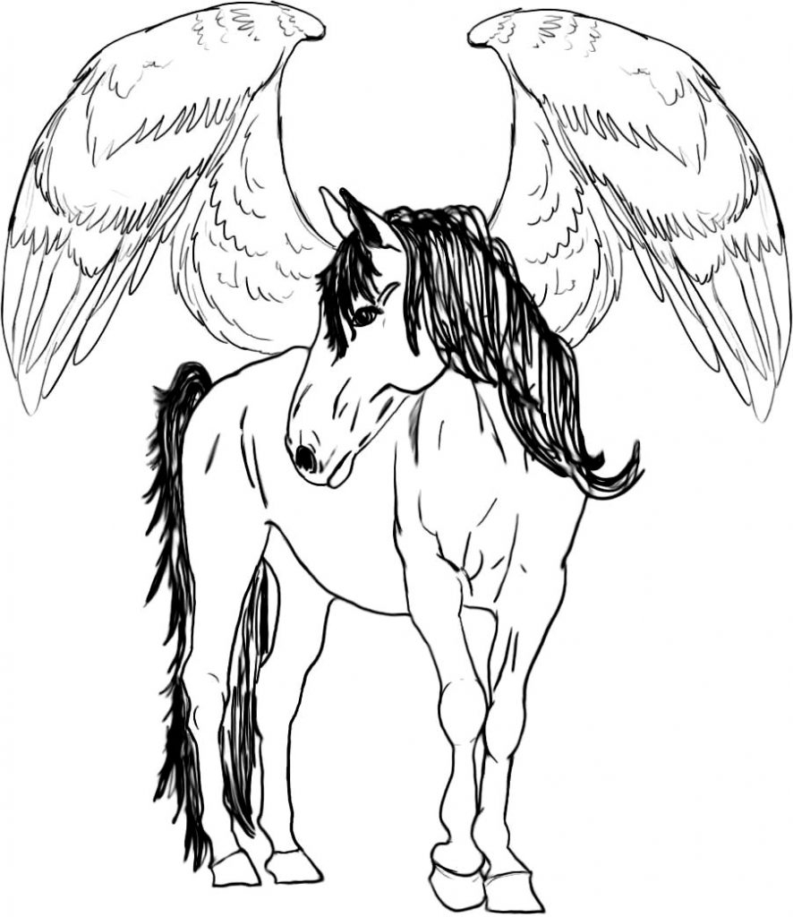 Flying Horse Coloring Pages At GetDrawings Free Download