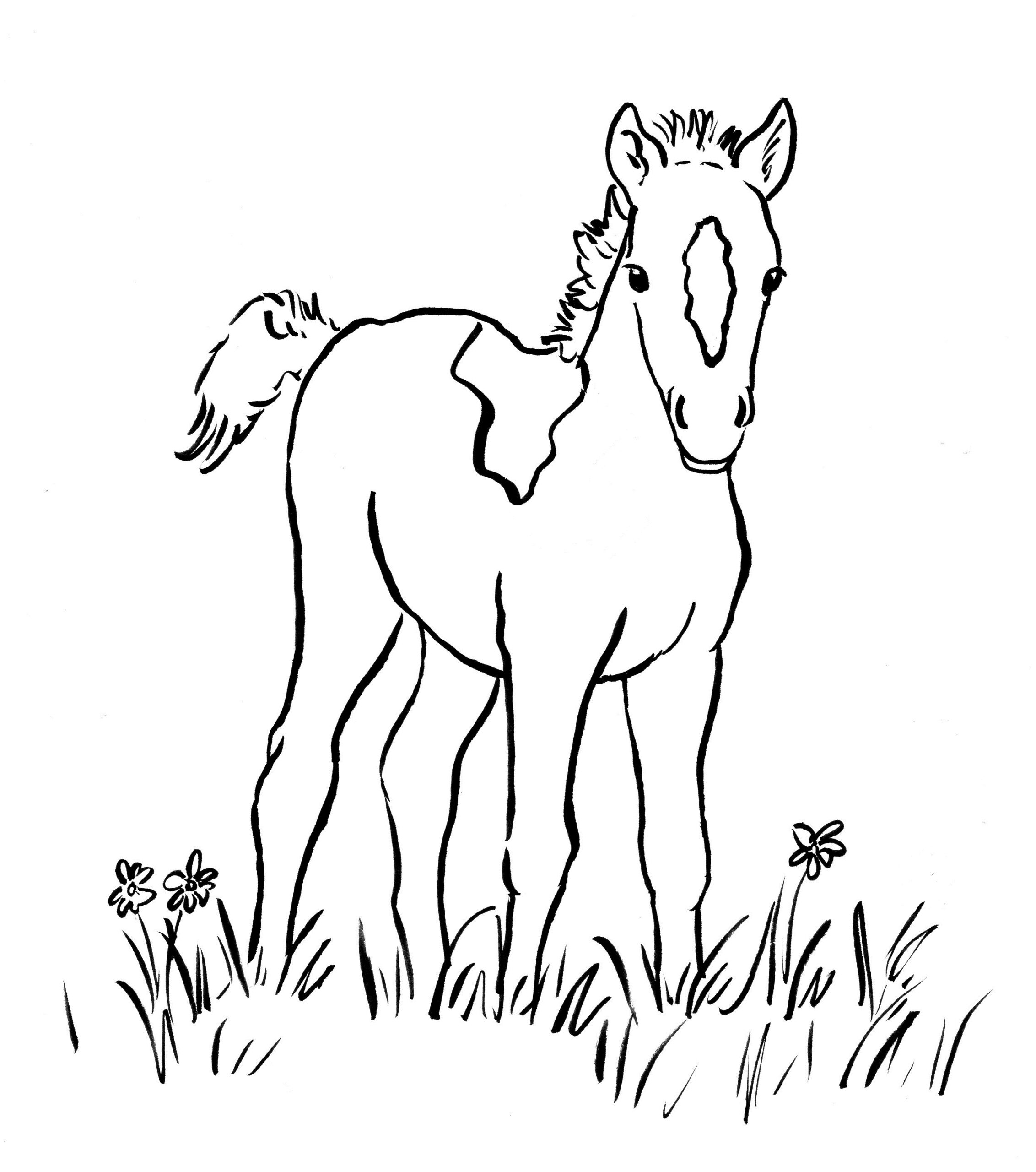 Foal Coloring Page Art Starts