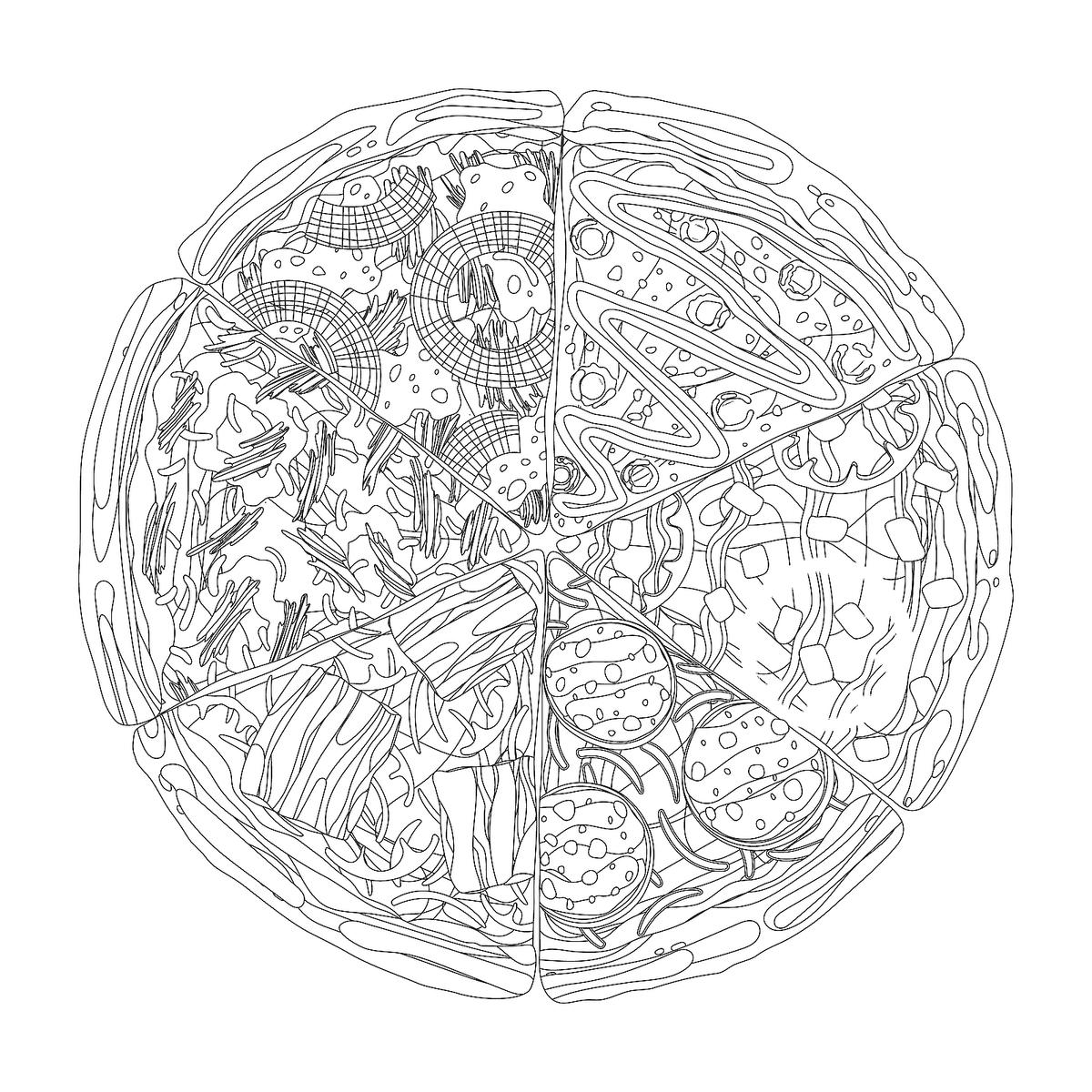 Food Coloring Pages 20 Free Printable Coloring Pages Of Food That Will Make Your Stomach Growl