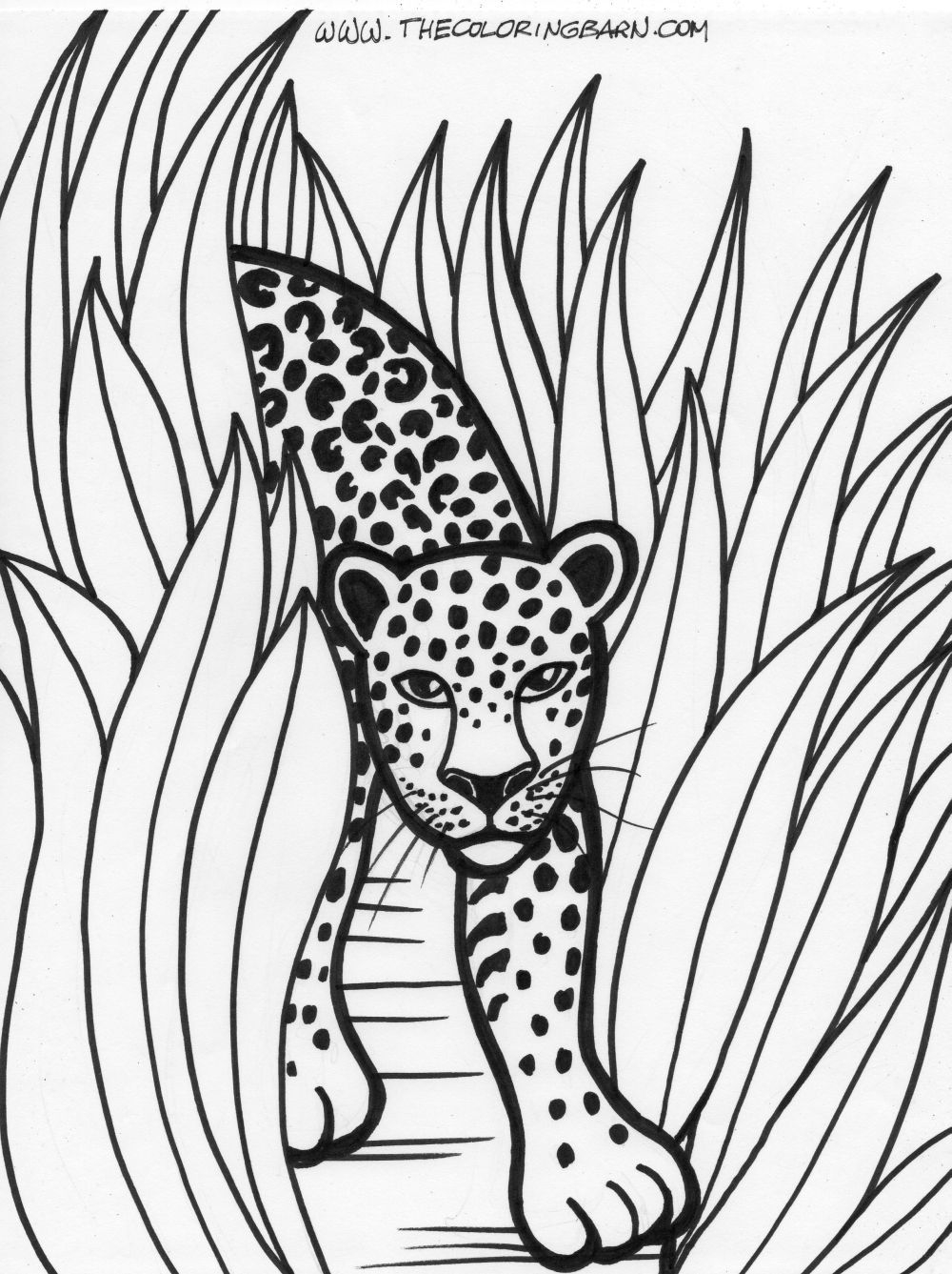 Forest Animals Coloring Page Pdf Teachcreativa