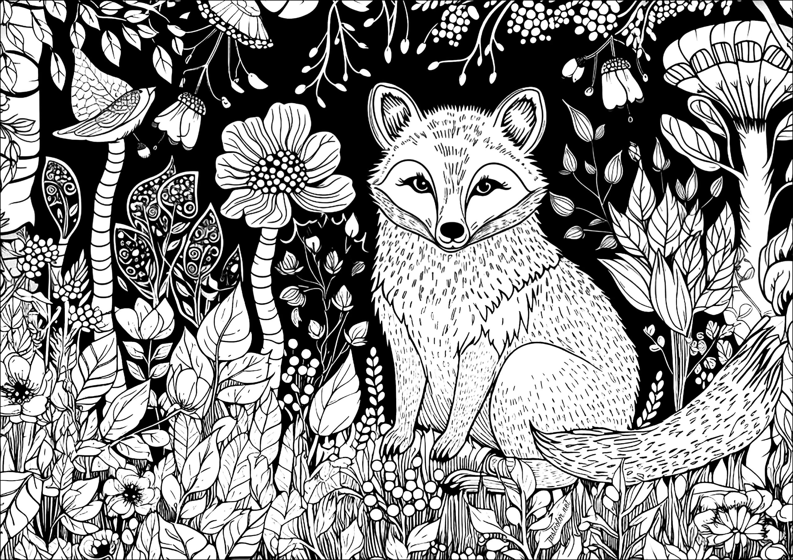 Fox In An Enchanted Forest Fox Coloring Pages For Adults