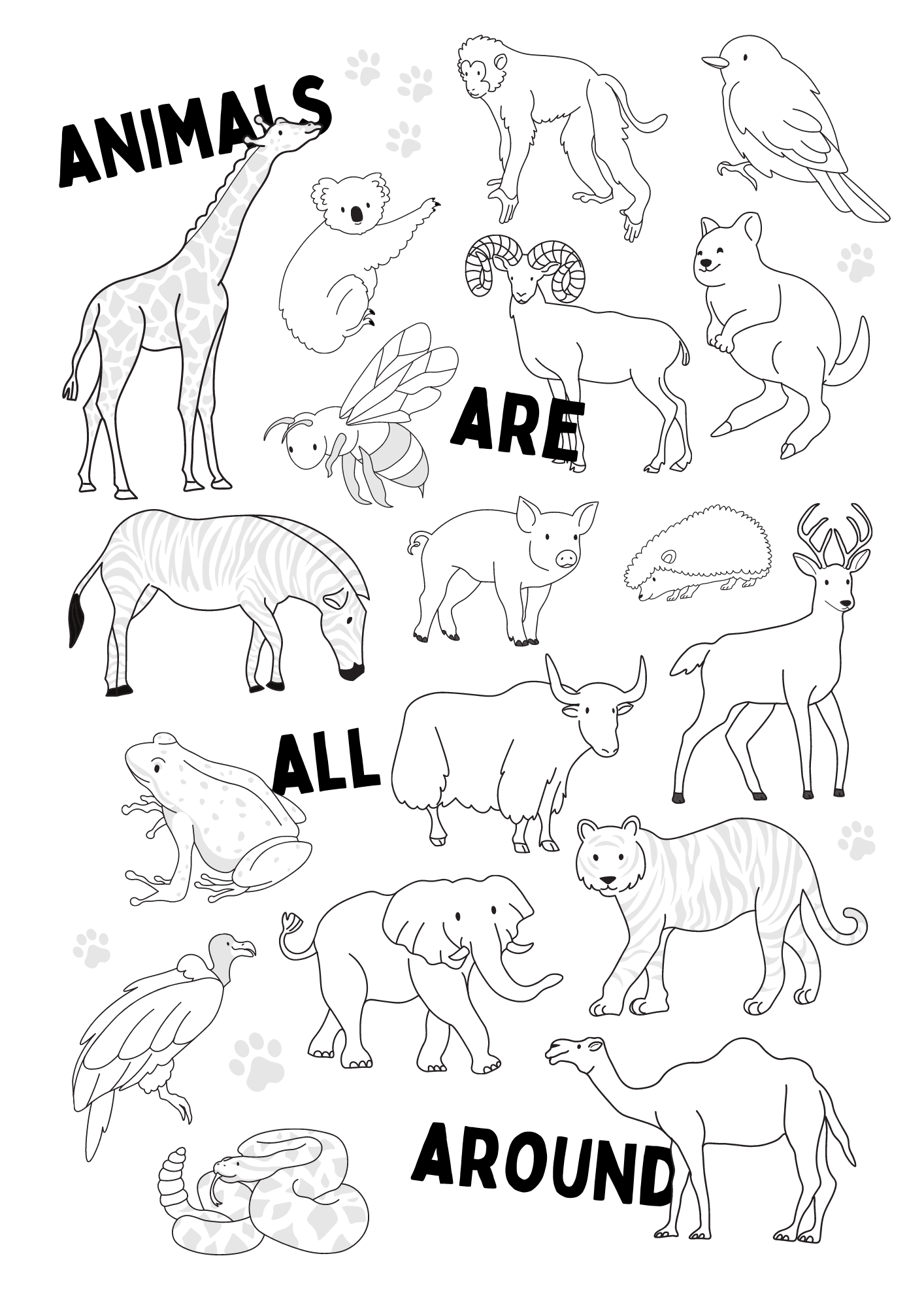 Coloring Pages Coloring Pages Animals