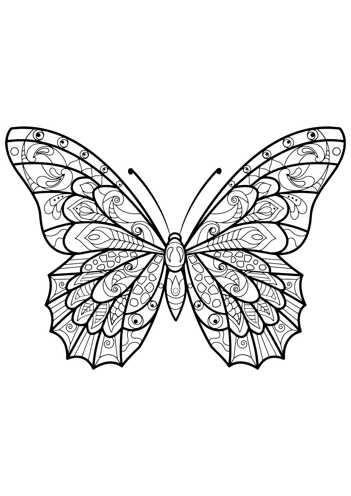 Coloring Pages For Butterflies