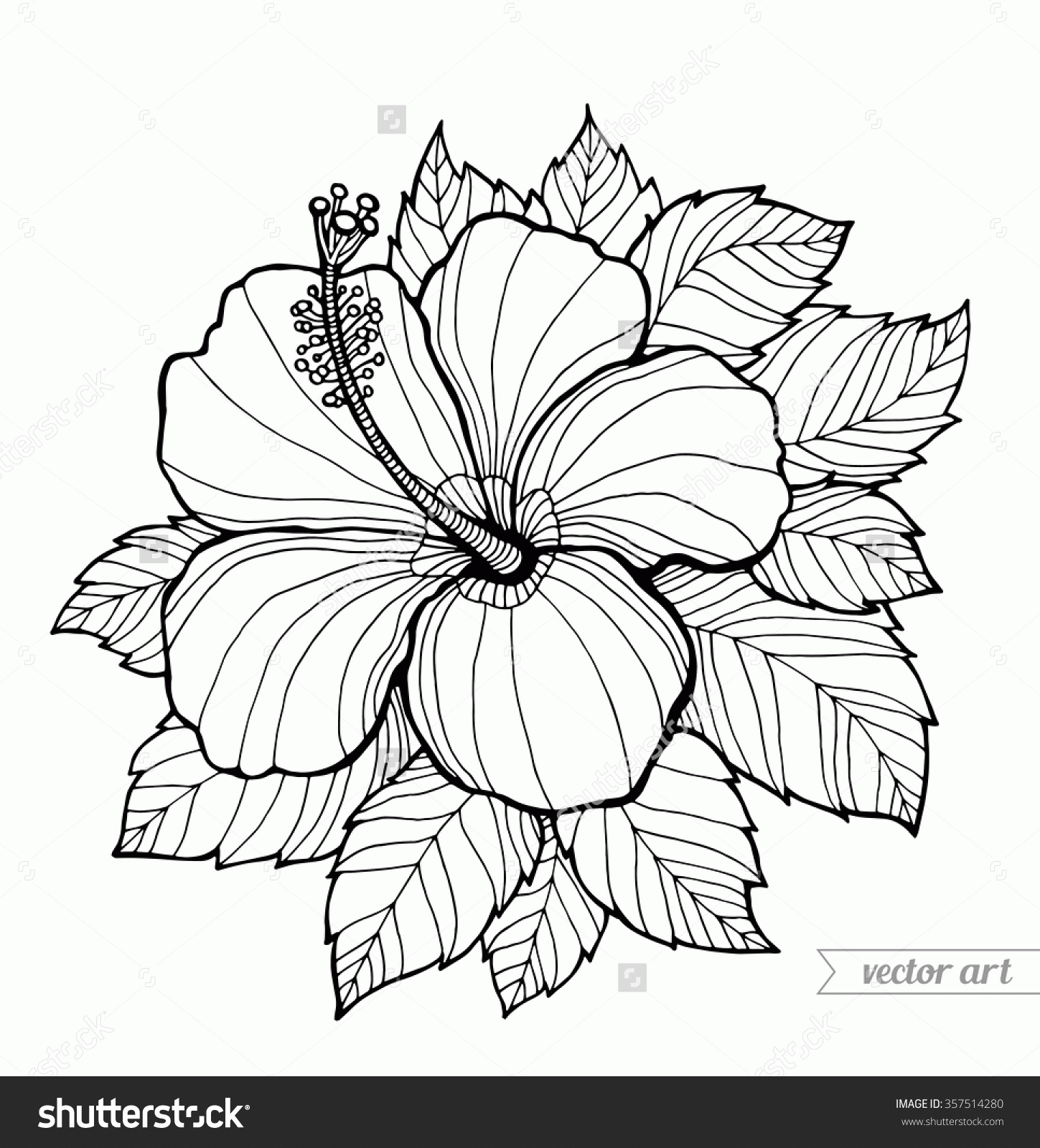 Hibiscus Coloring Pages