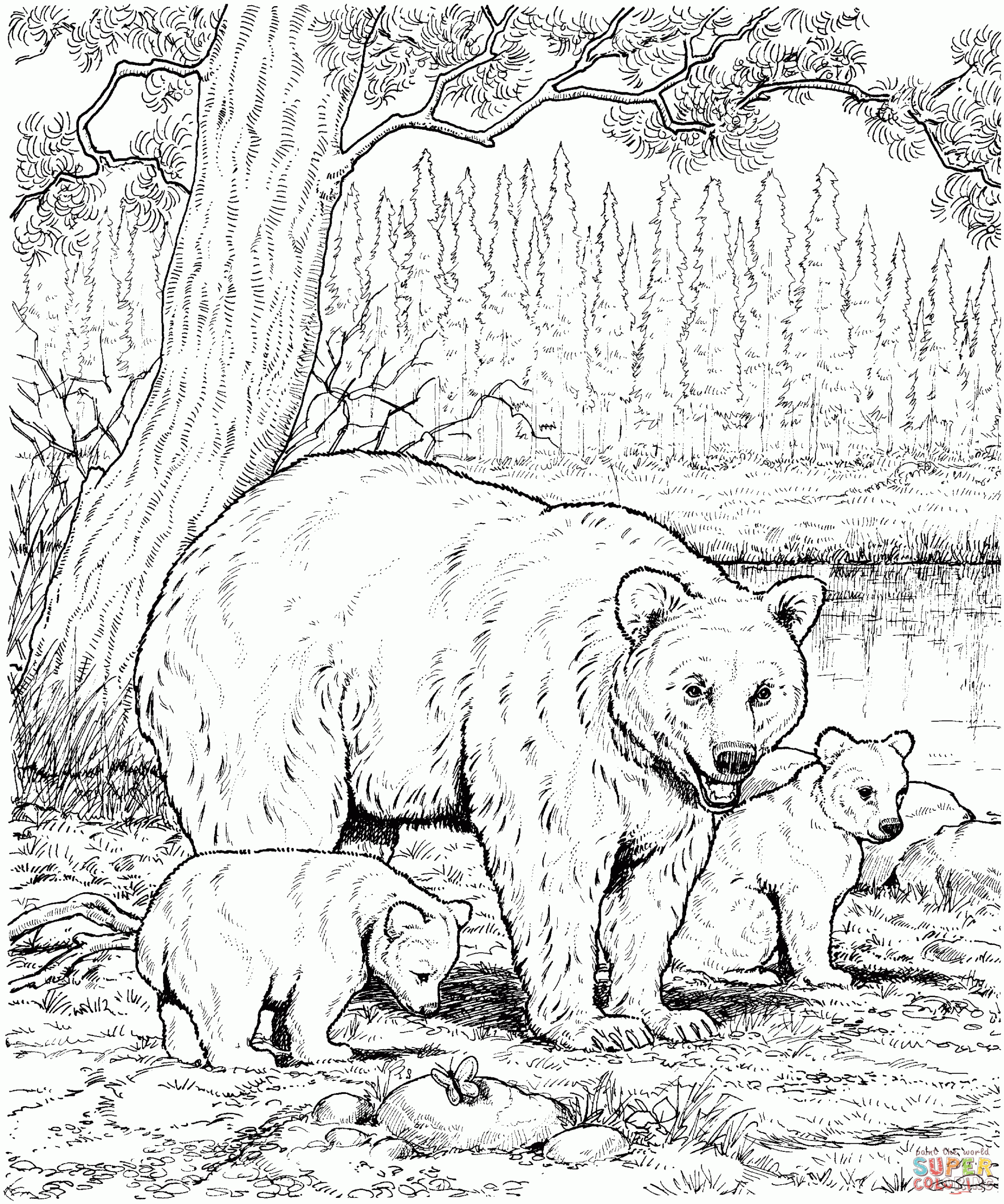 Free Free Woodland Creature Coloring Pages Download Free Free Woodland Creature Coloring Pages