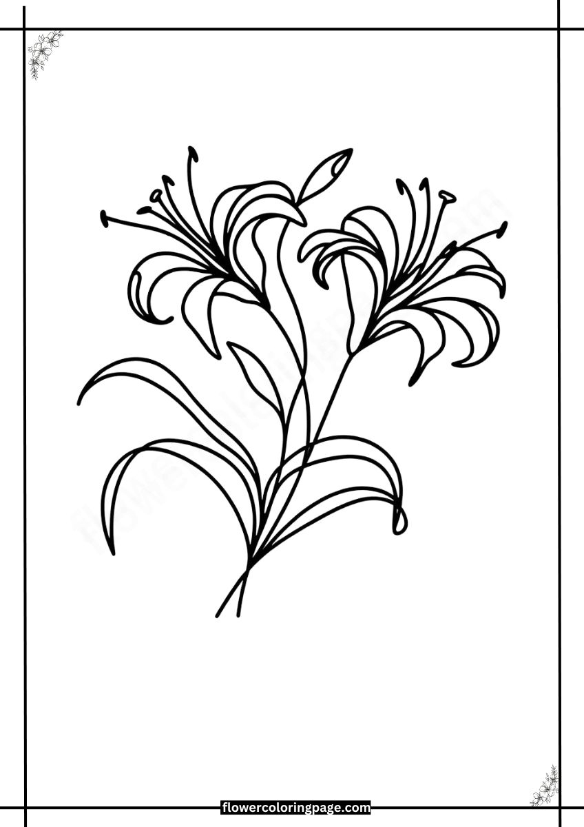 Free Gloriosa Lily Coloring Pages Printable PDF Flower Coloring Page