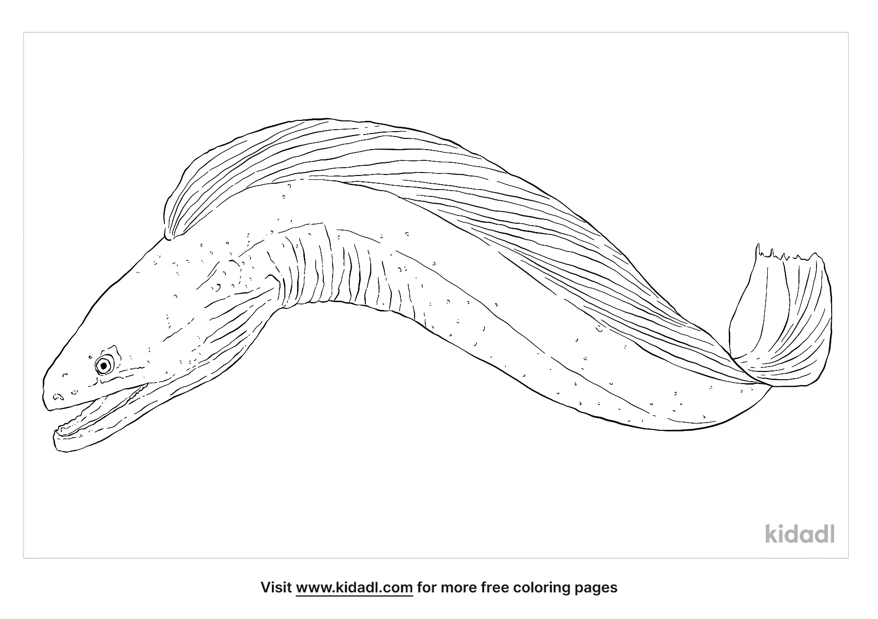 Free Green Moray Eel Coloring Page Coloring Page Printables Kidadl