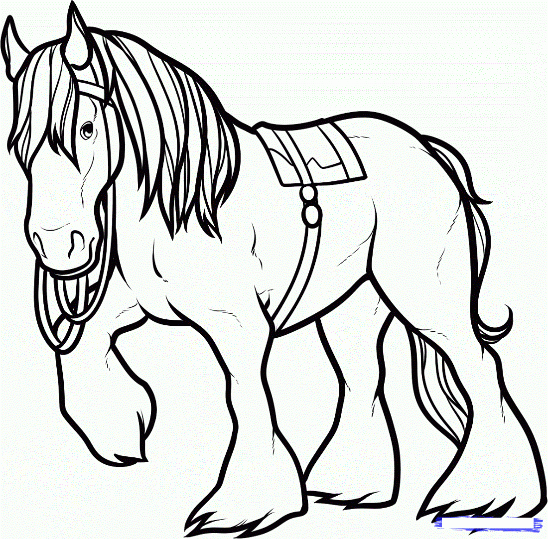Horse Coloring Pages Free