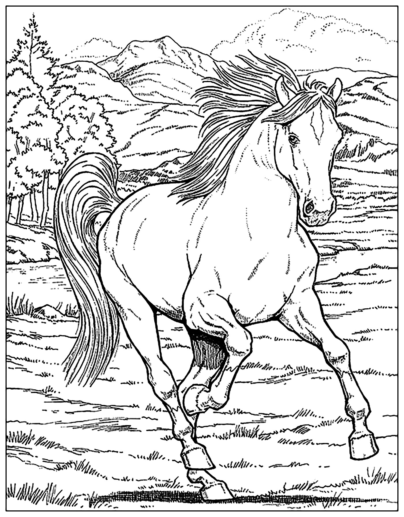 Free Horse Coloring Pages For Adults Kids COWGIRL Magazine