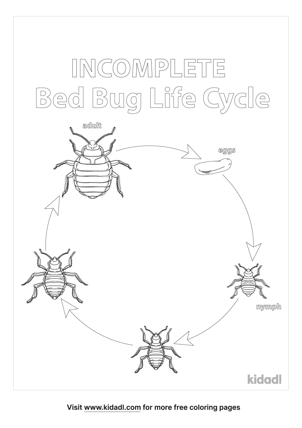 Free Incomplete Metamorphosis Coloring Page Coloring Page Printables Kidadl