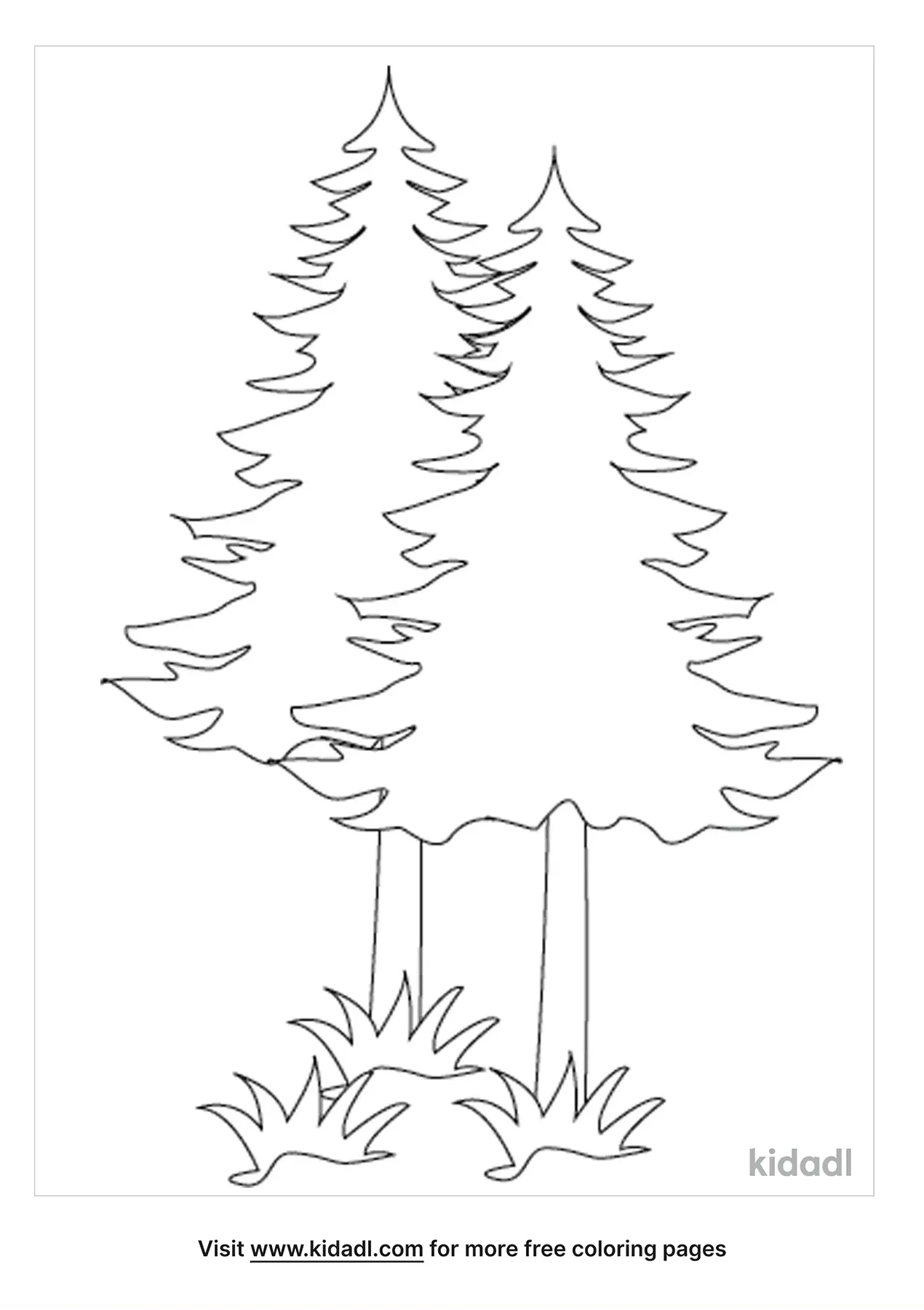 Pine Tree Coloring Page
