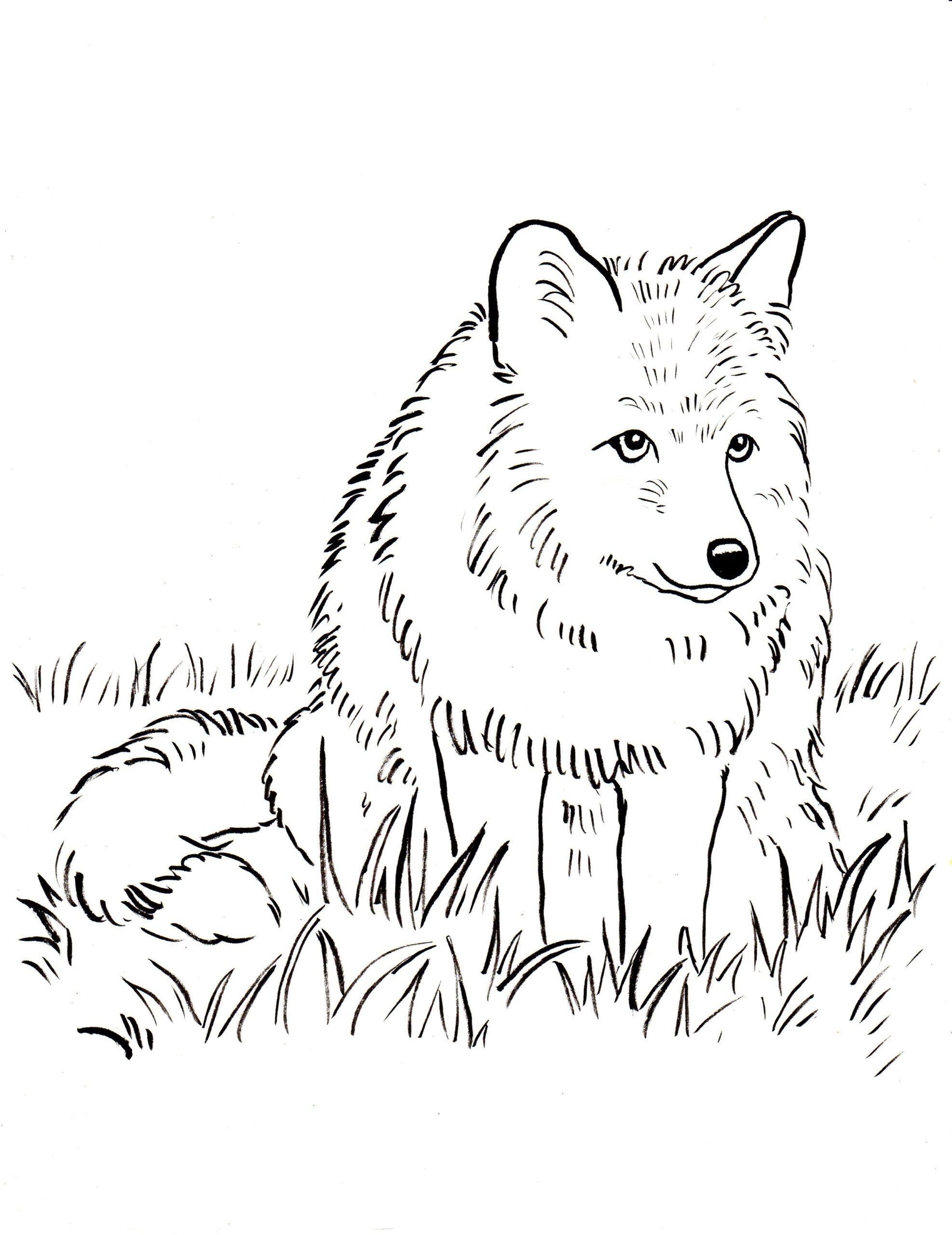 Free Printable Arctic Fox Coloring Pages