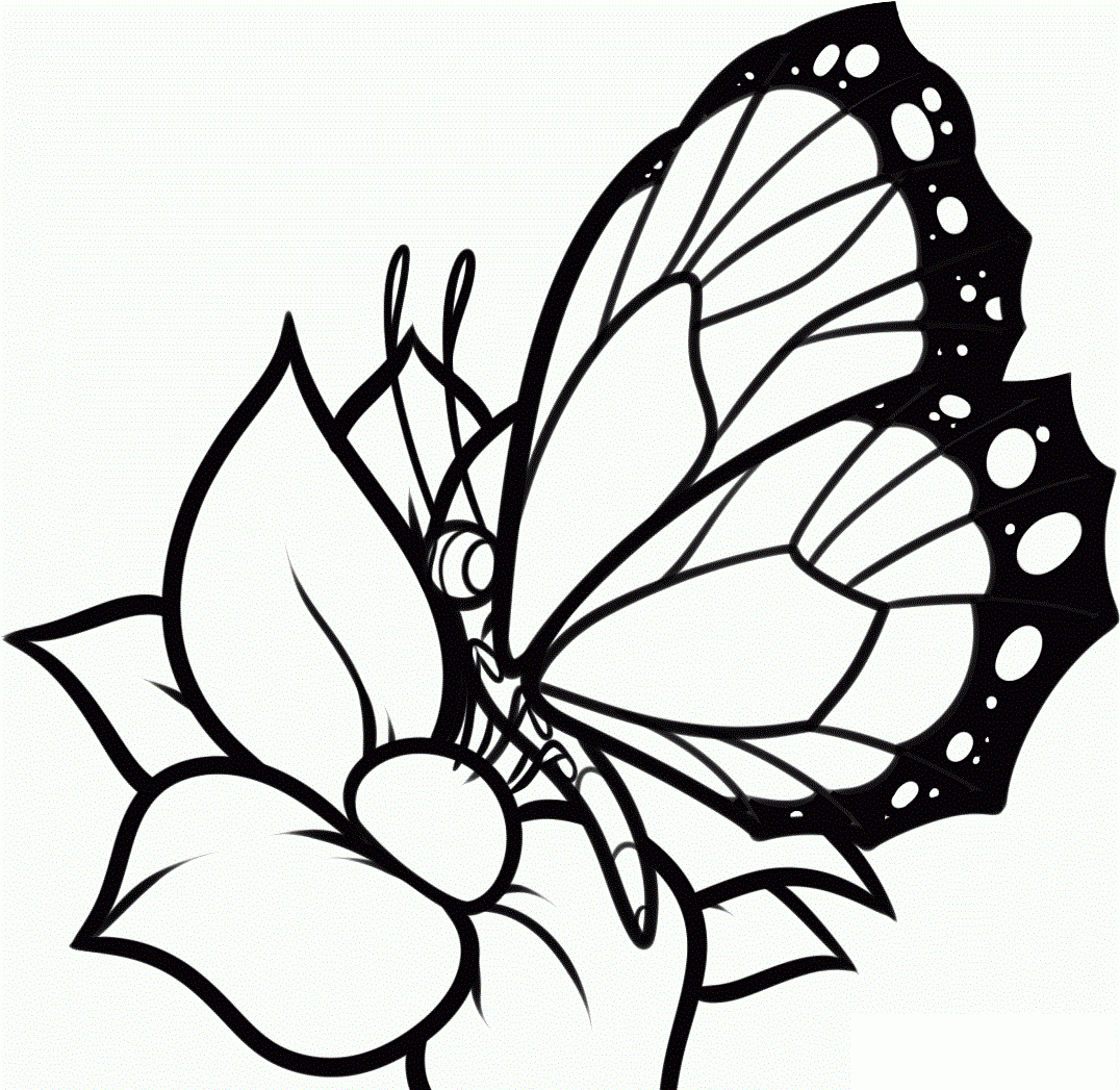 Free Printable Butterfly Coloring Pages For Kids