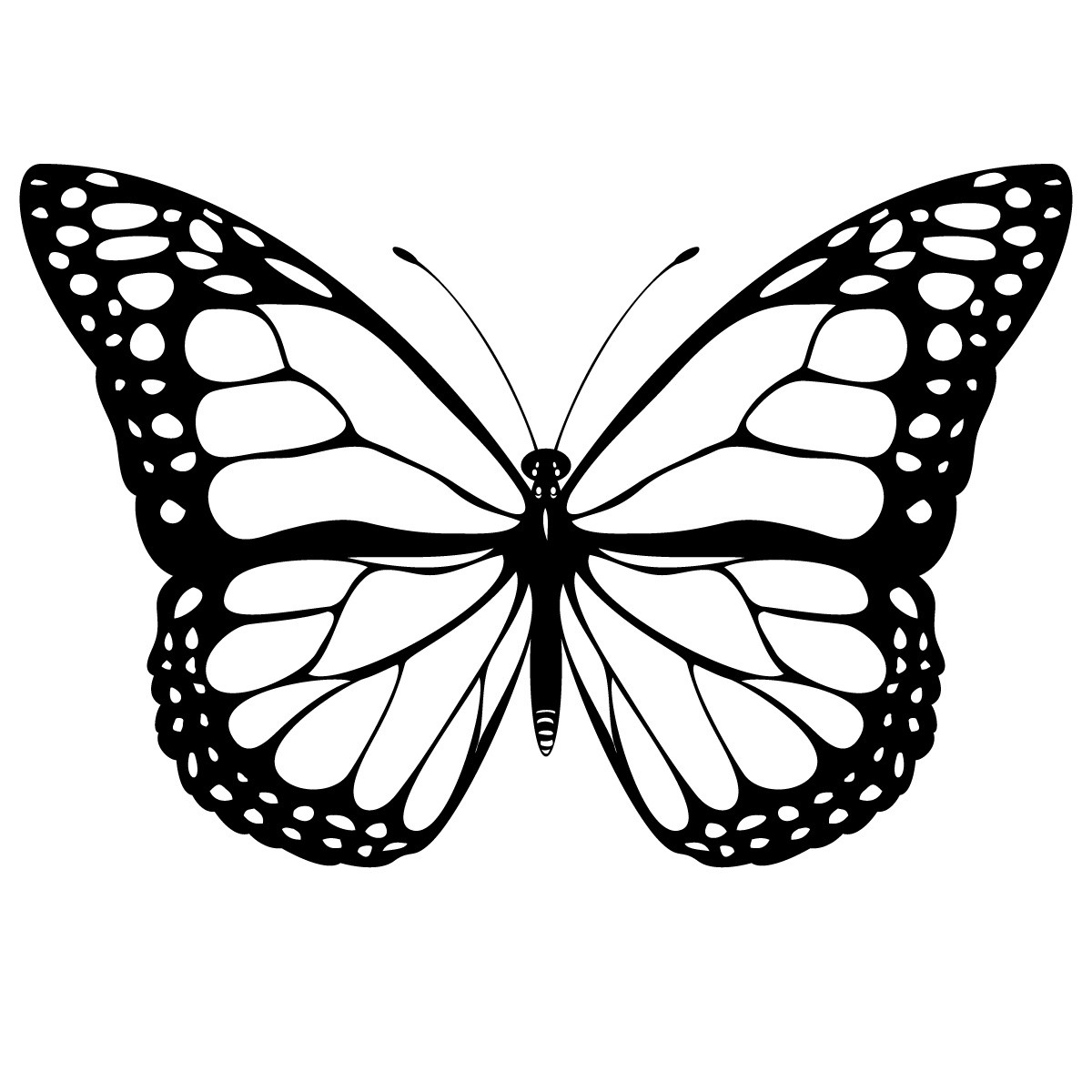Butterfly Coloring Pages For Kids