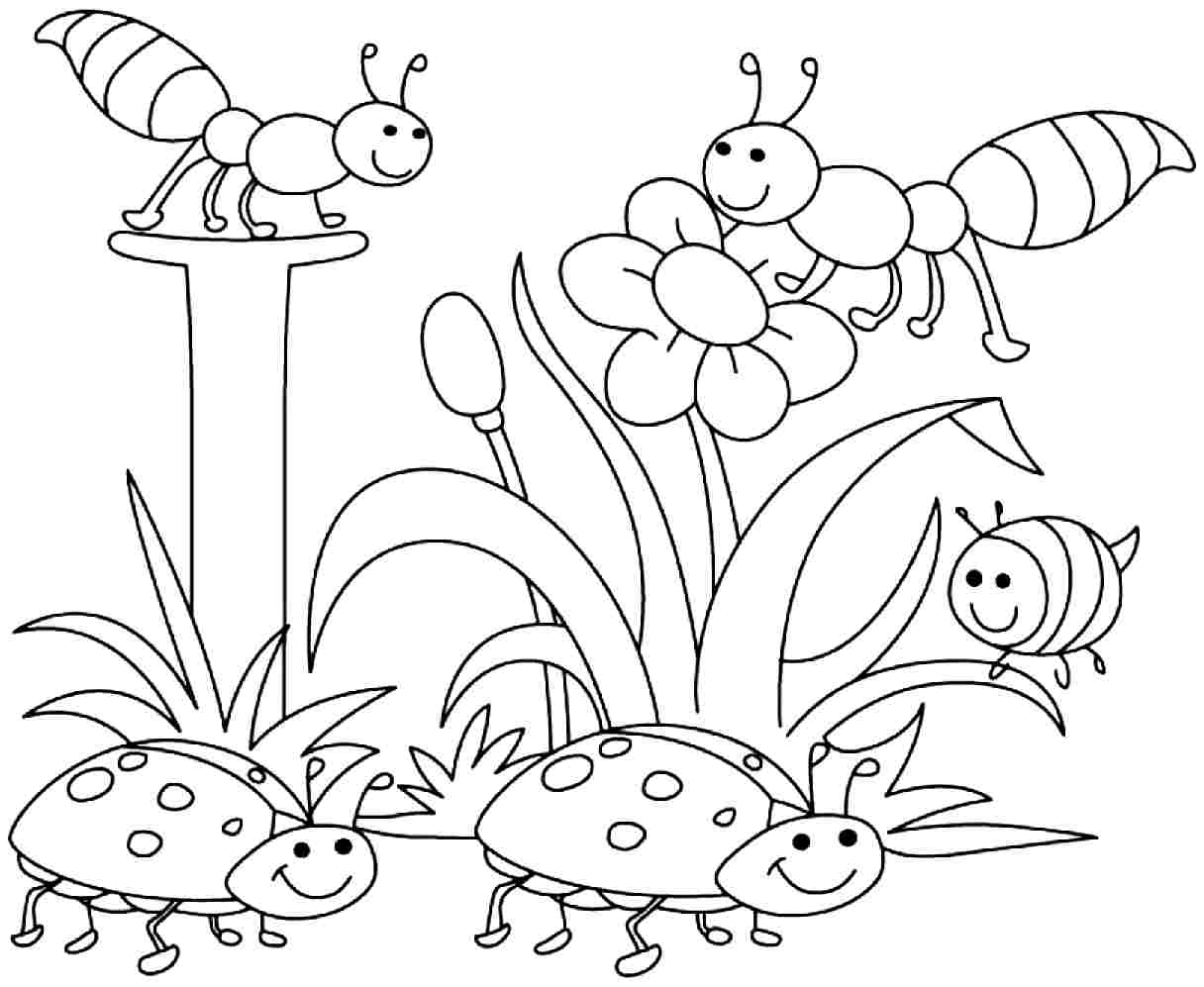 Free Coloring Pages For Preschool
