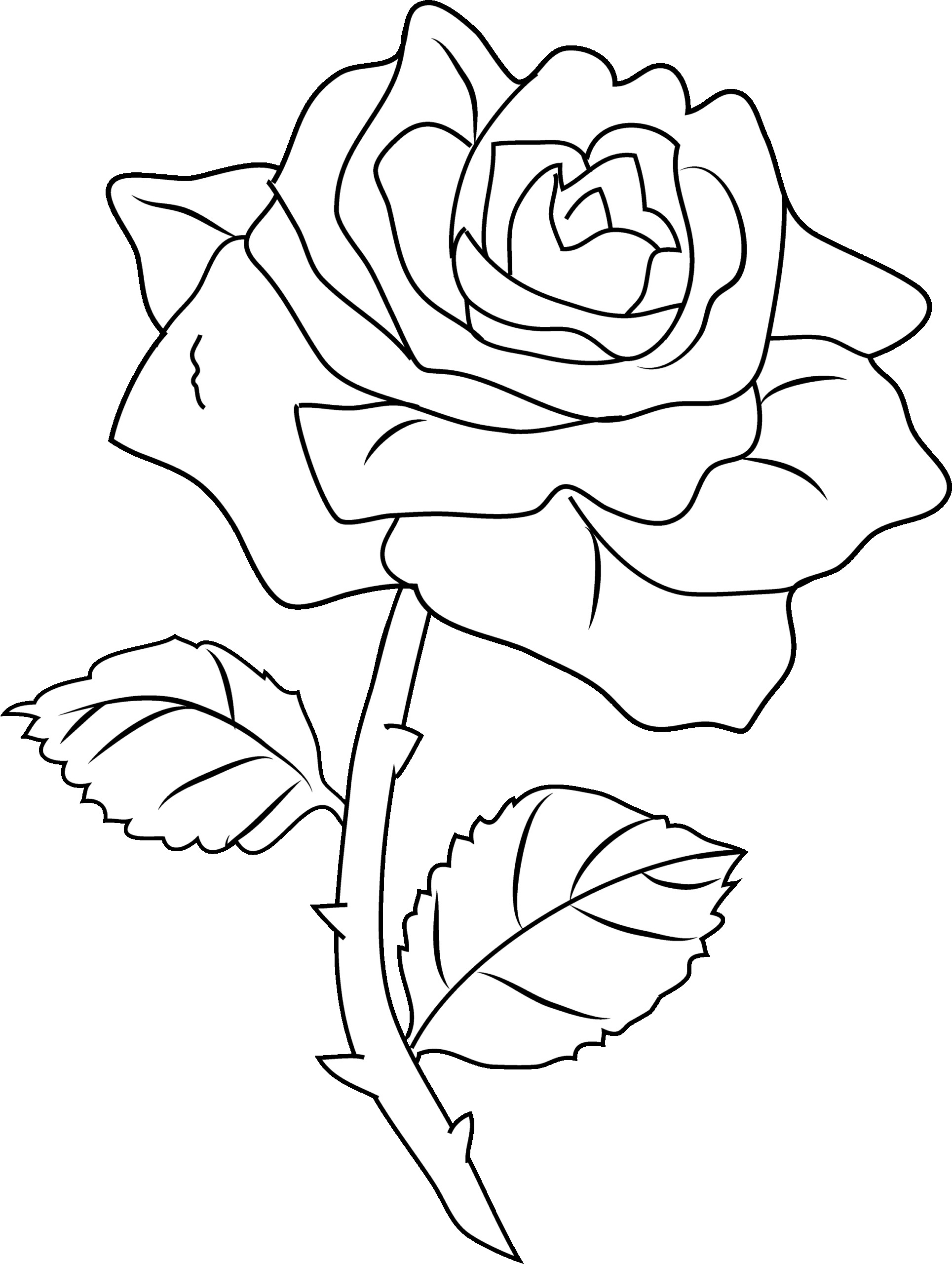 Free Printable Coloring Pages Of Roses Printable Templates