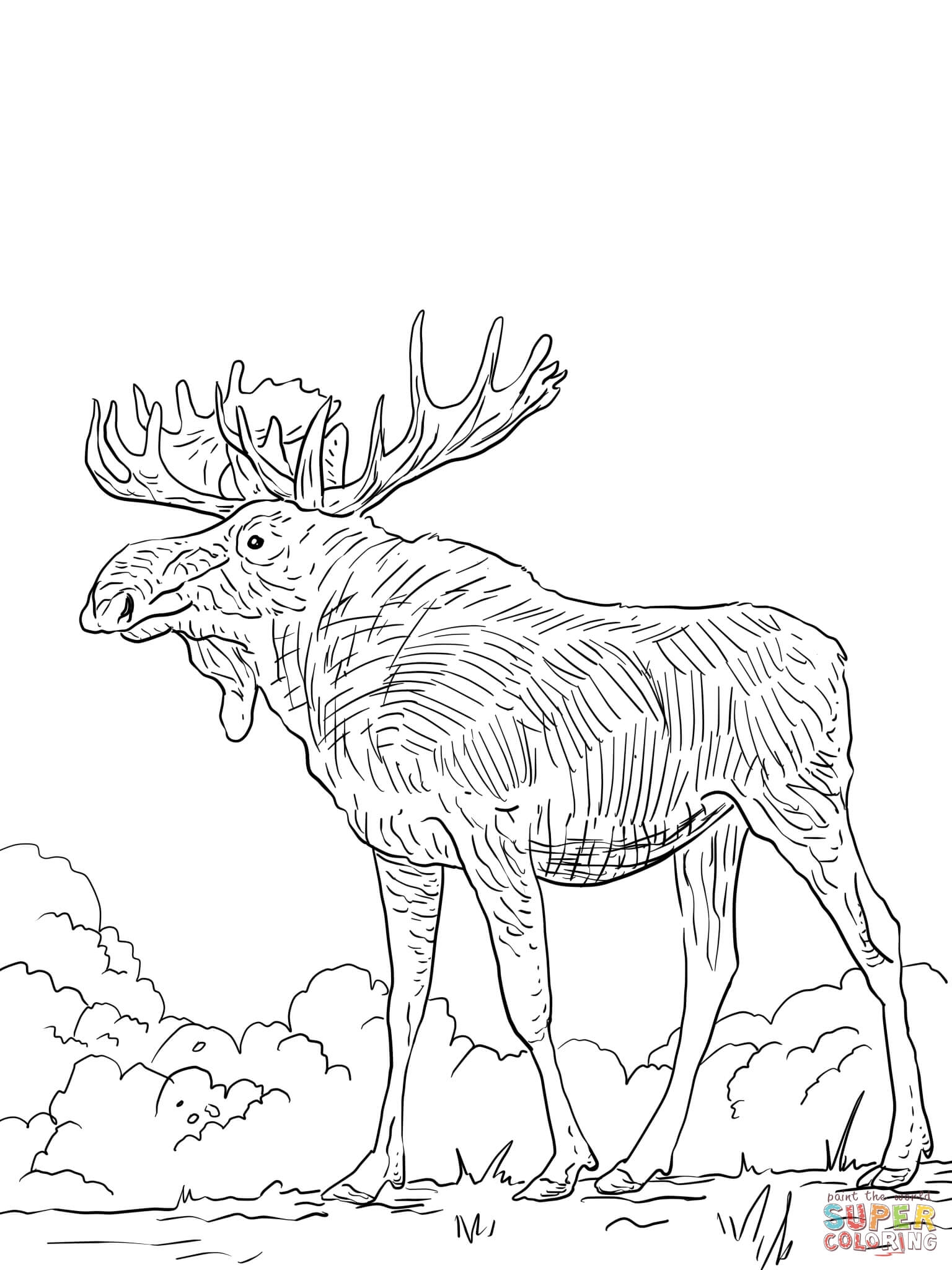 Elk Coloring Pages
