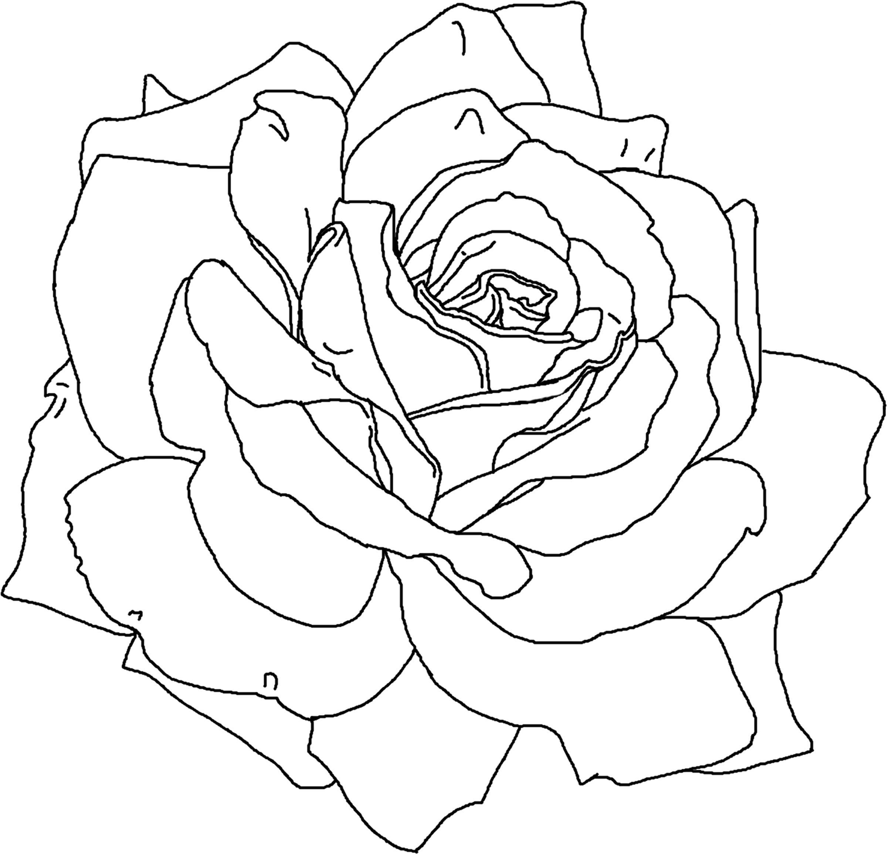 Coloring Page Of A Flower