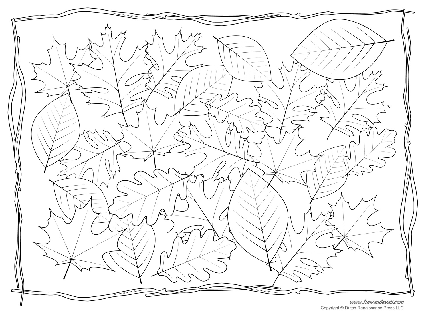 Leaves Coloring Page