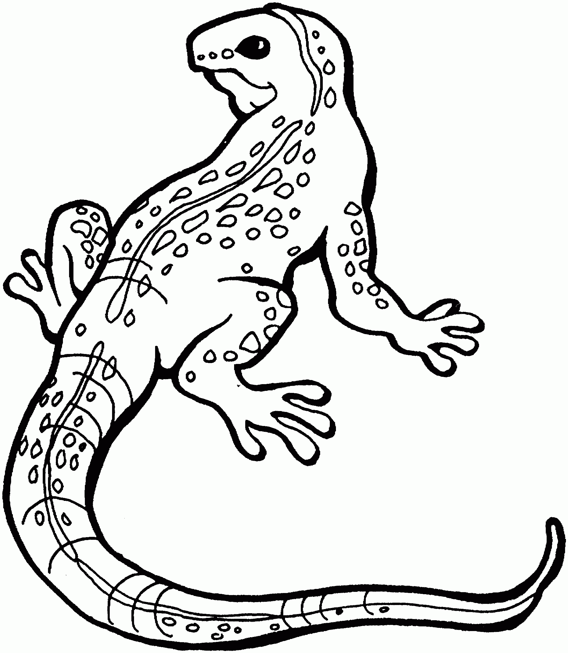 Reptile Coloring Pages