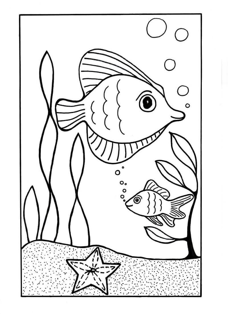 Free Printable Ocean Coloring Sheets Printable Word Searches