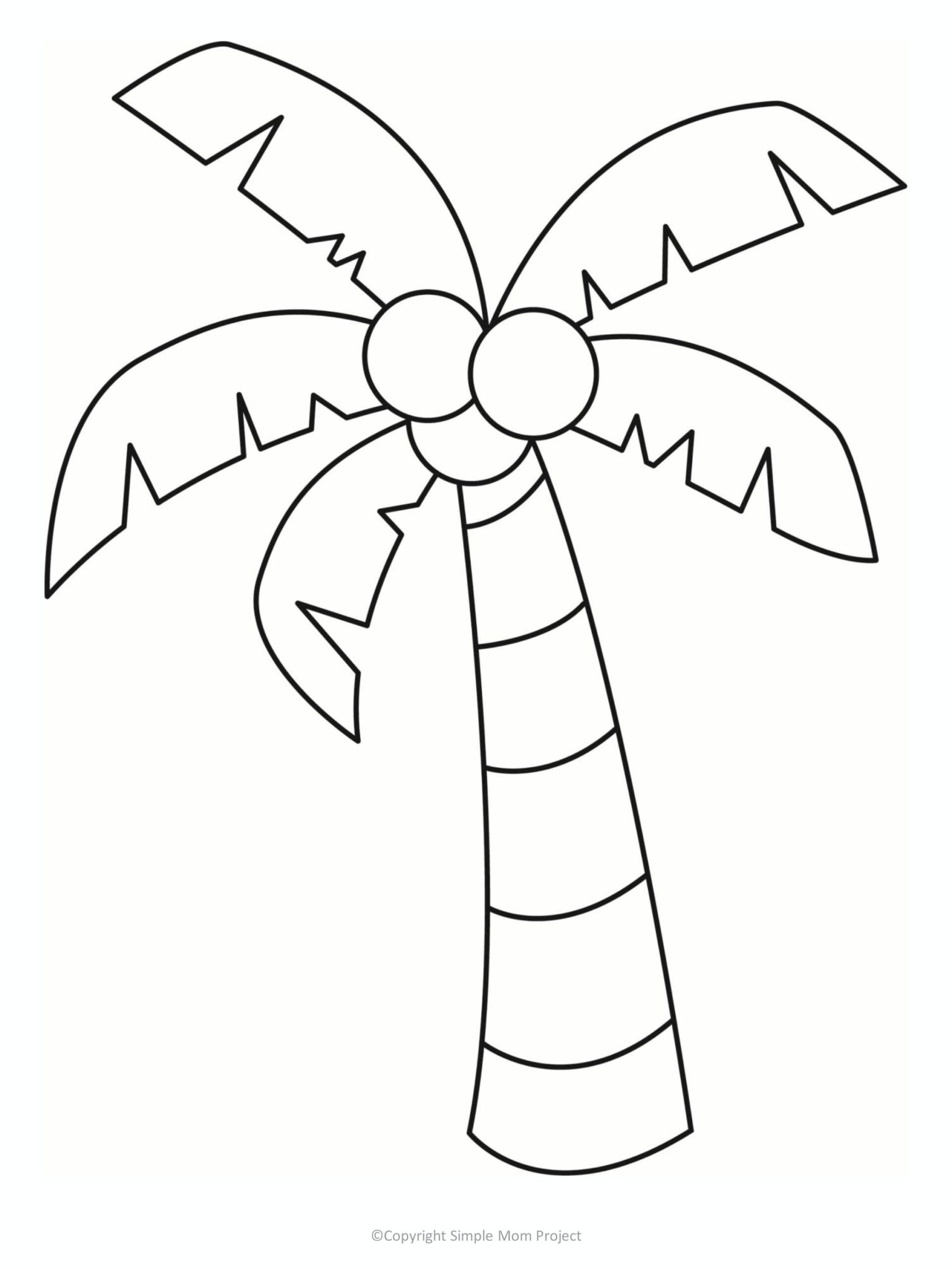 Palm Trees Coloring Pages