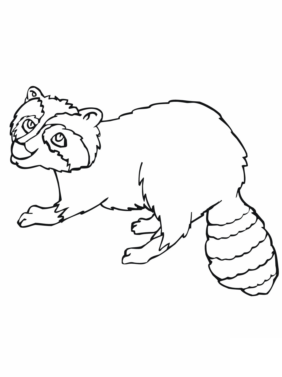 Coloring Page Raccoon