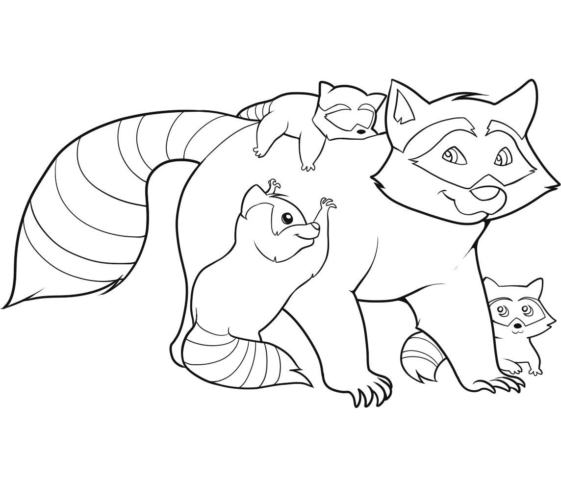 Racoon Coloring Pages